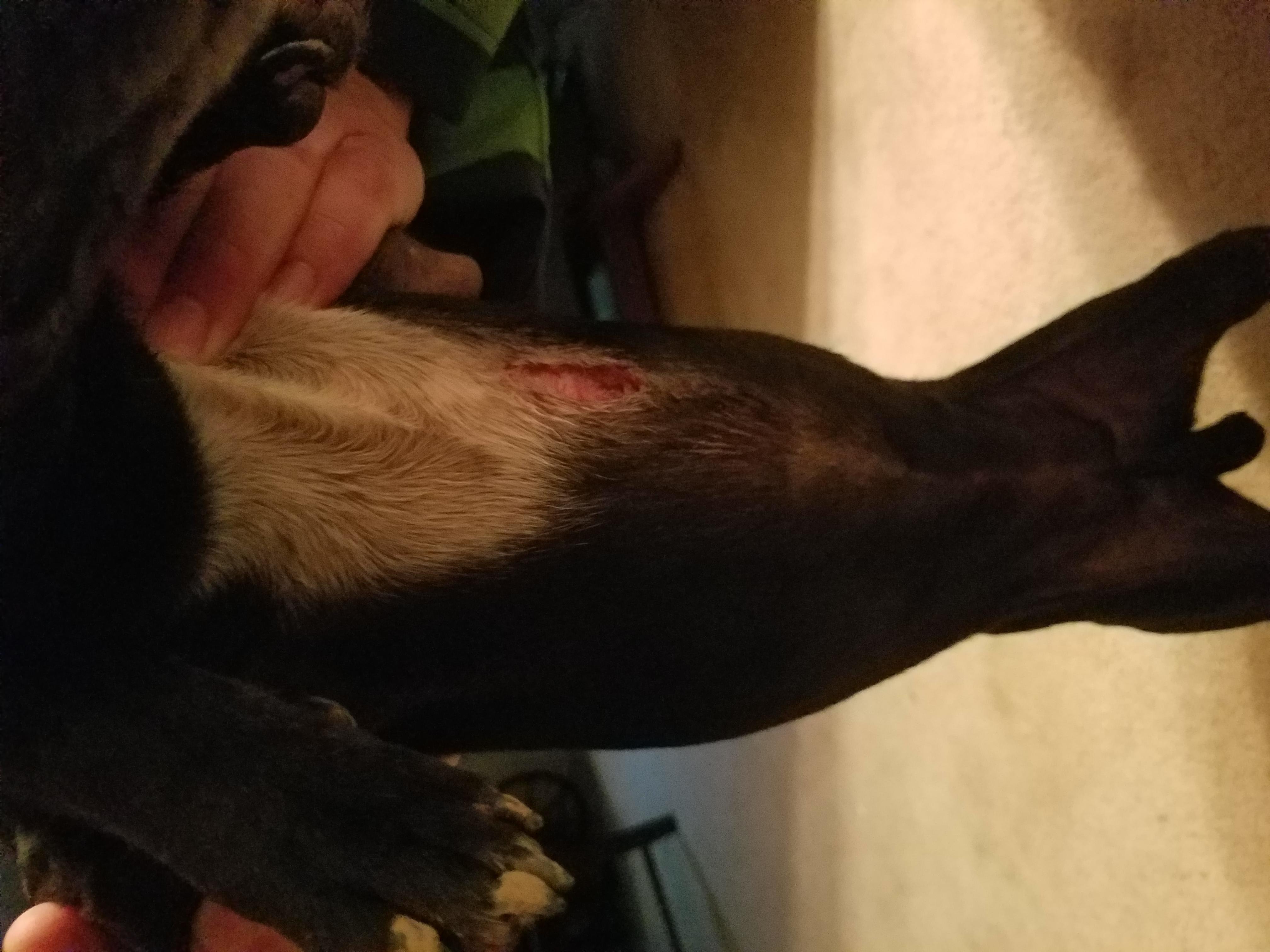 Question details sensitive content