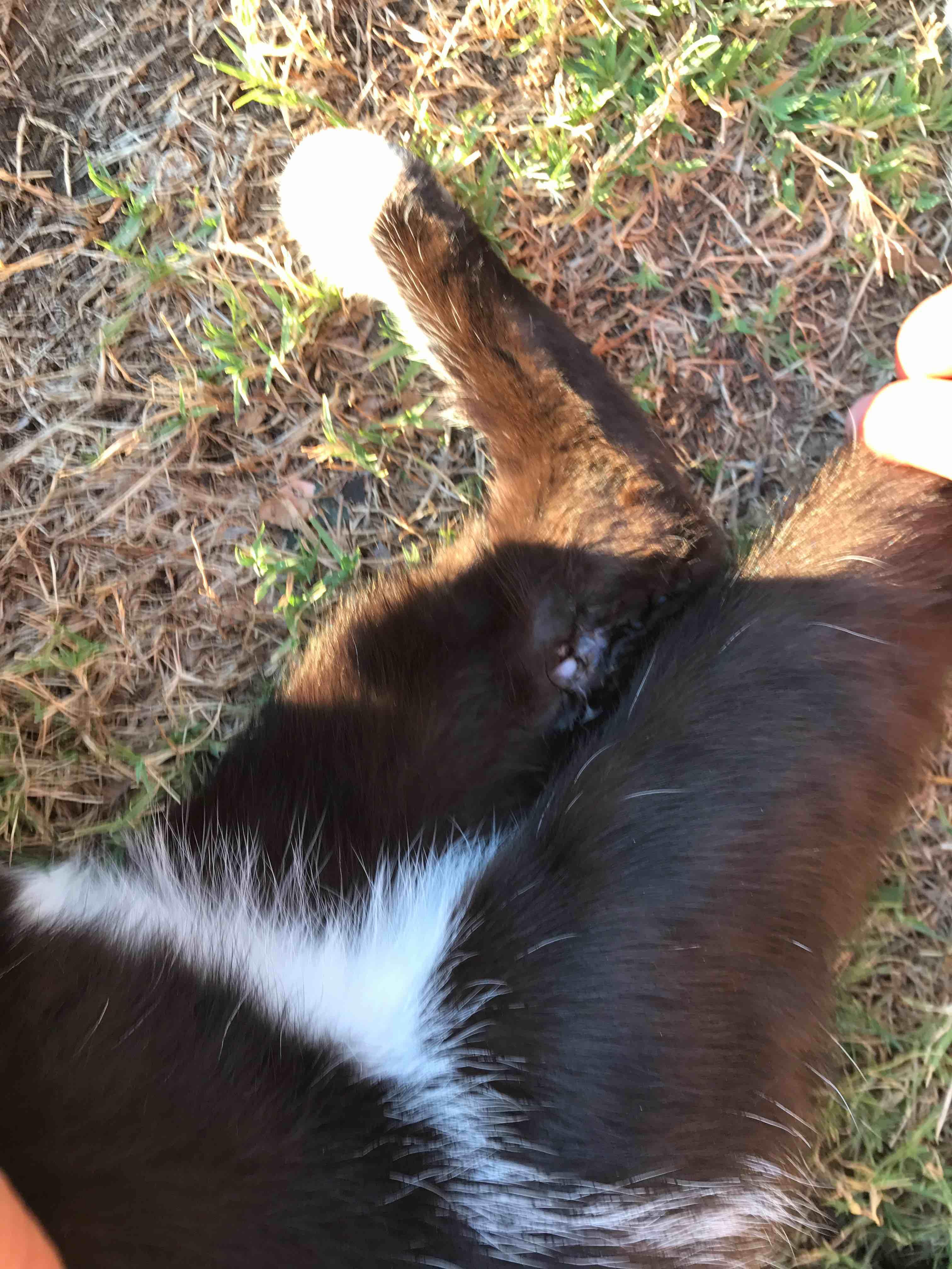 Question details sensitive content