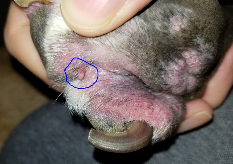 Question details sensitive content