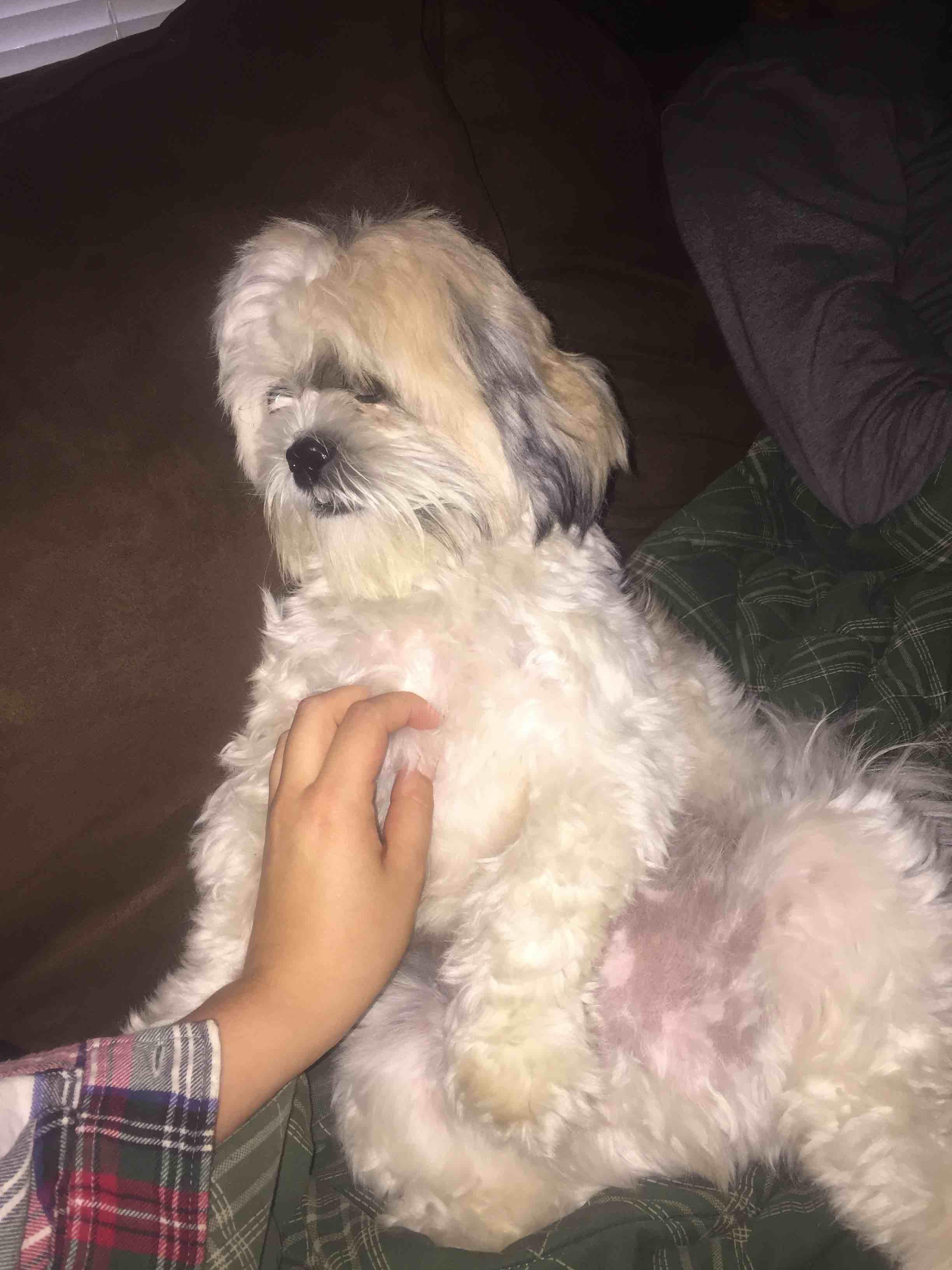 Question details sensitive content