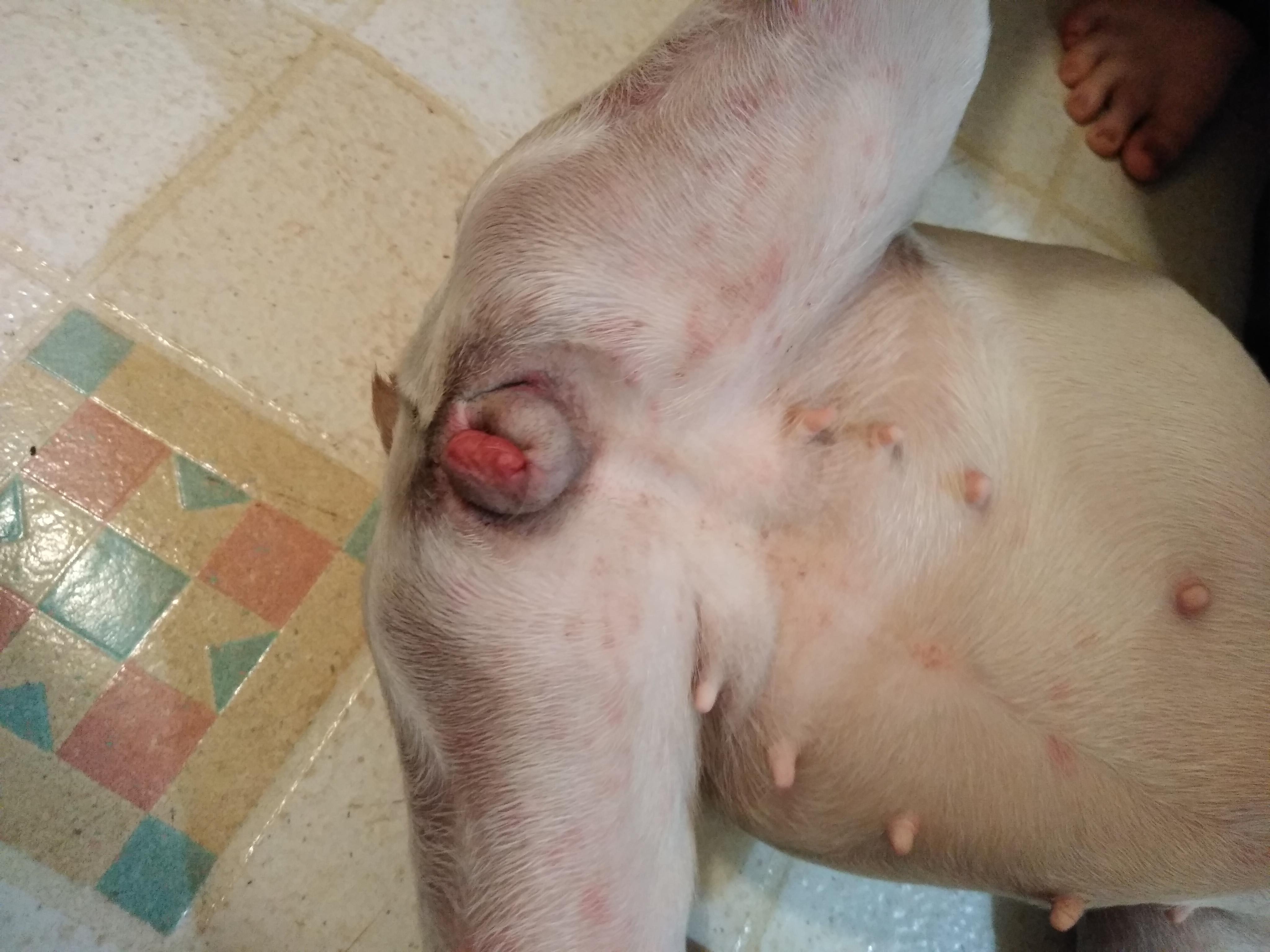 Question details sensitive content