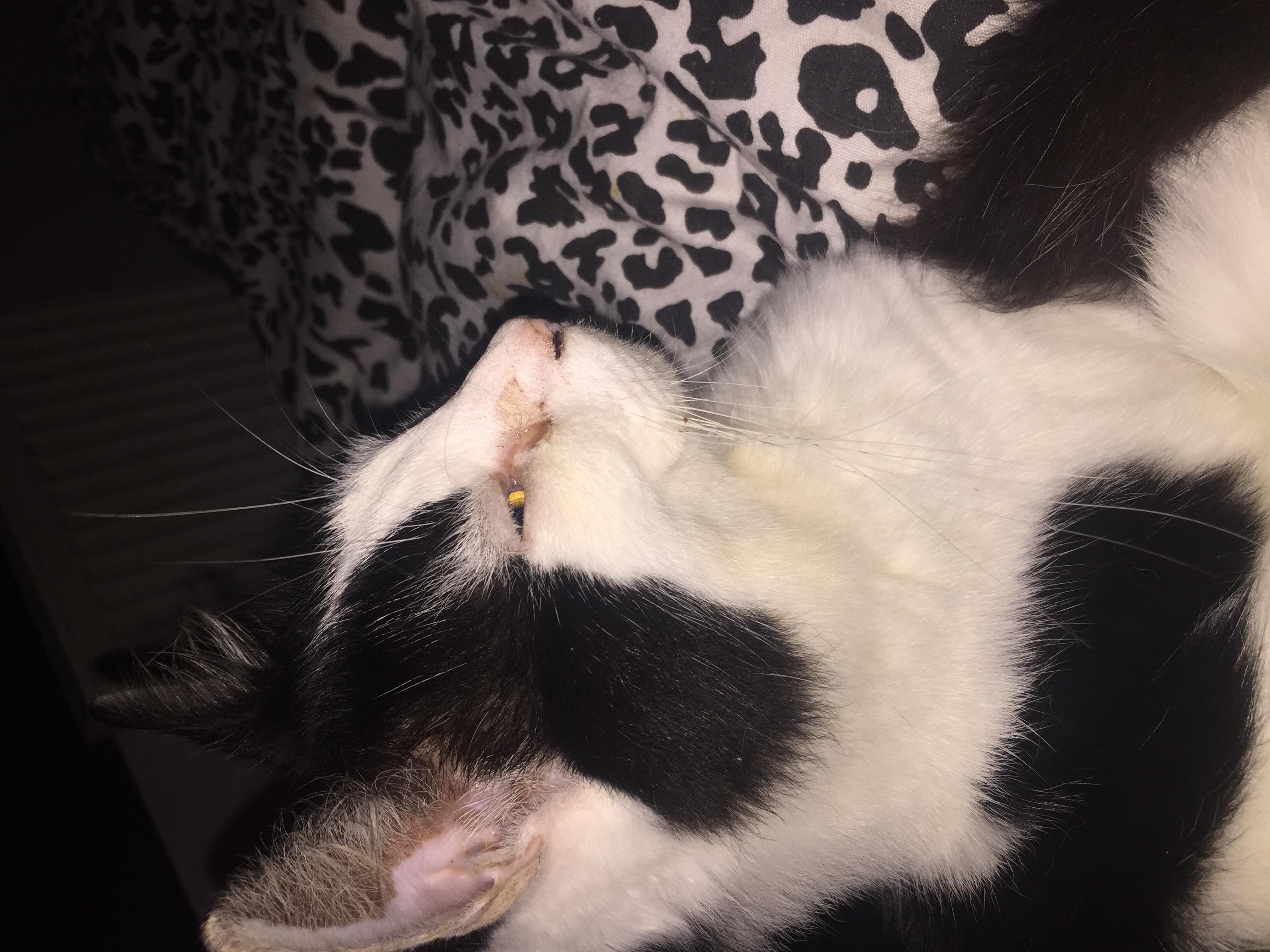 Question details sensitive content