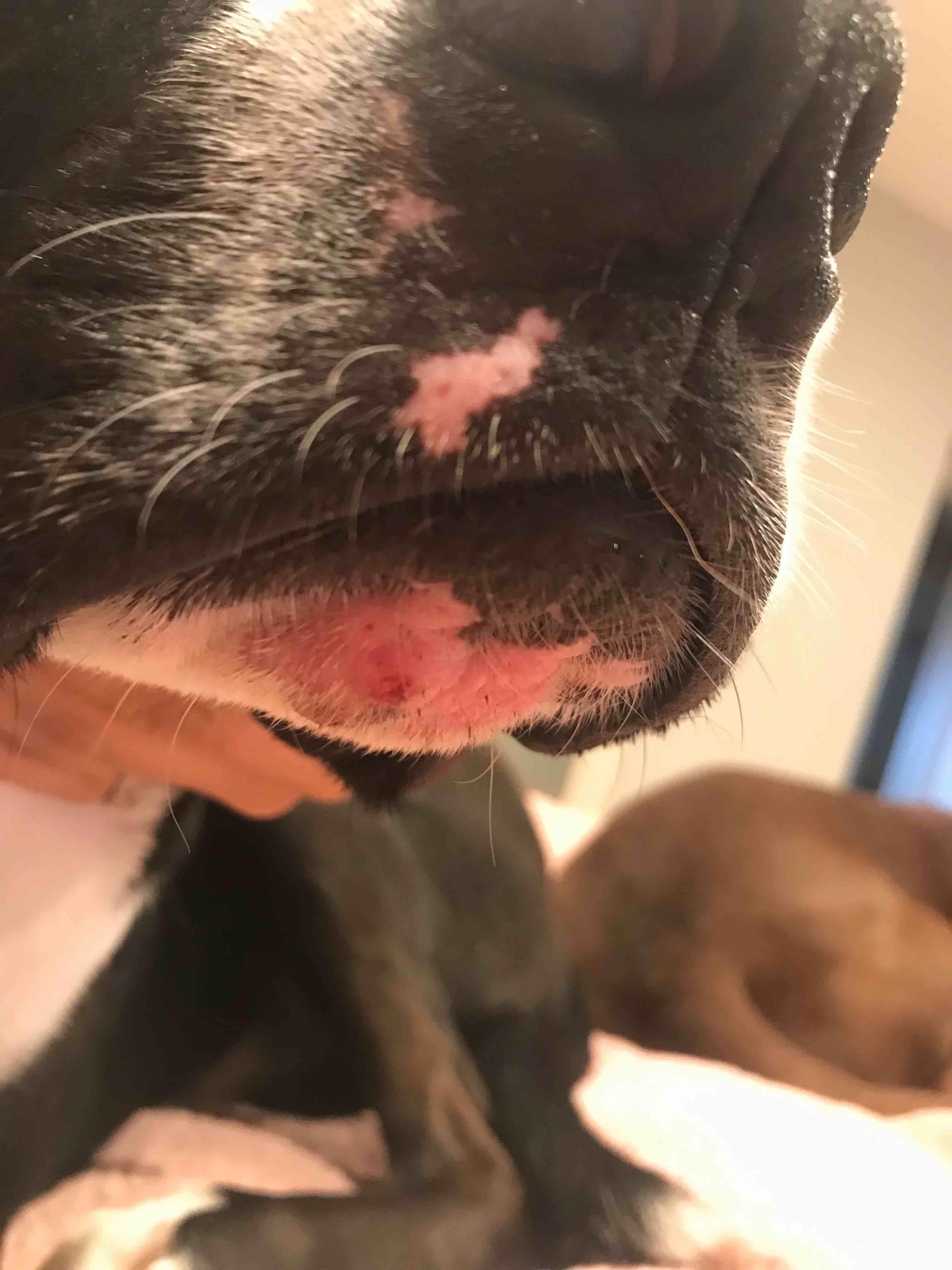 Question details sensitive content