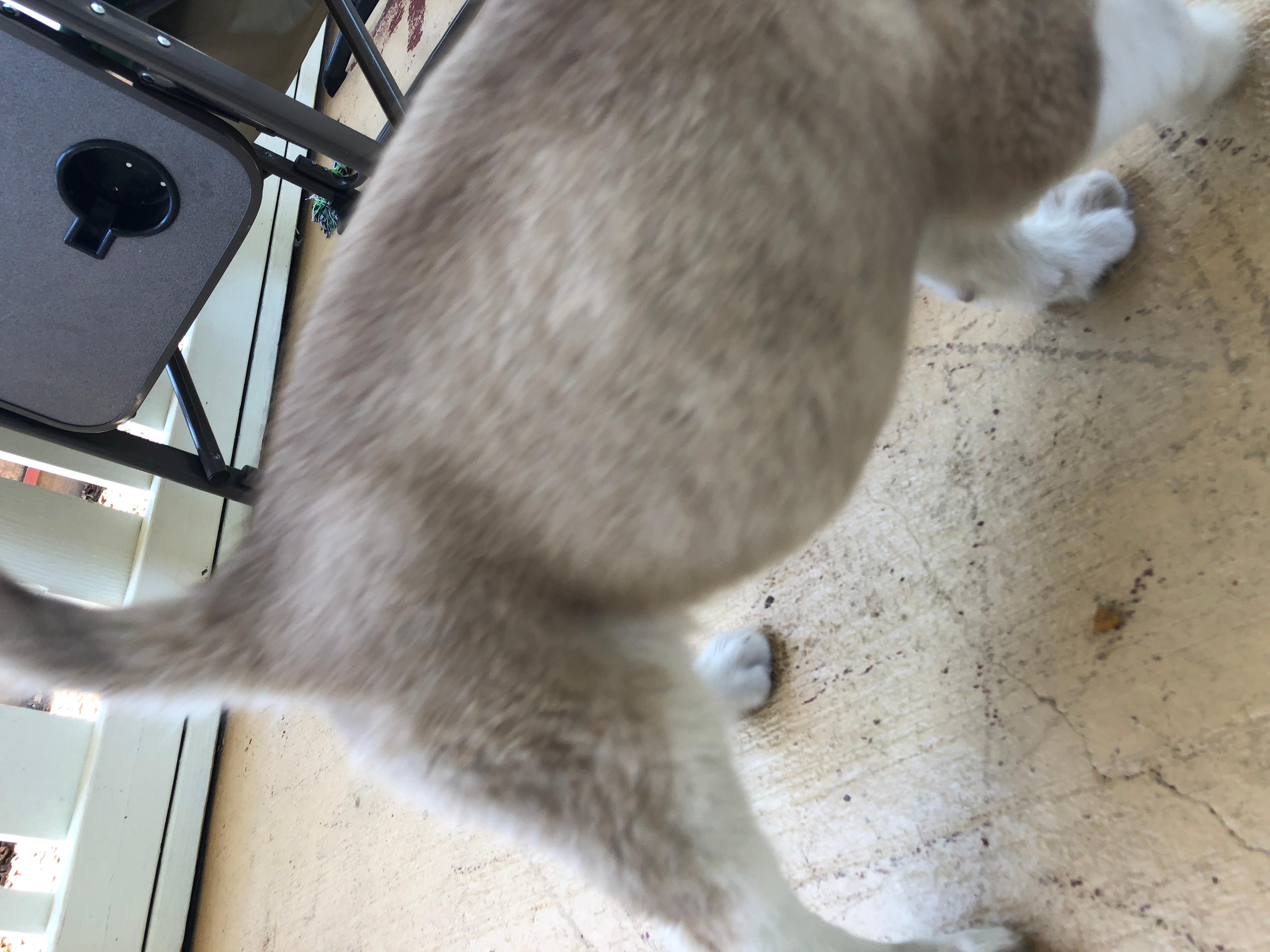 Question details sensitive content