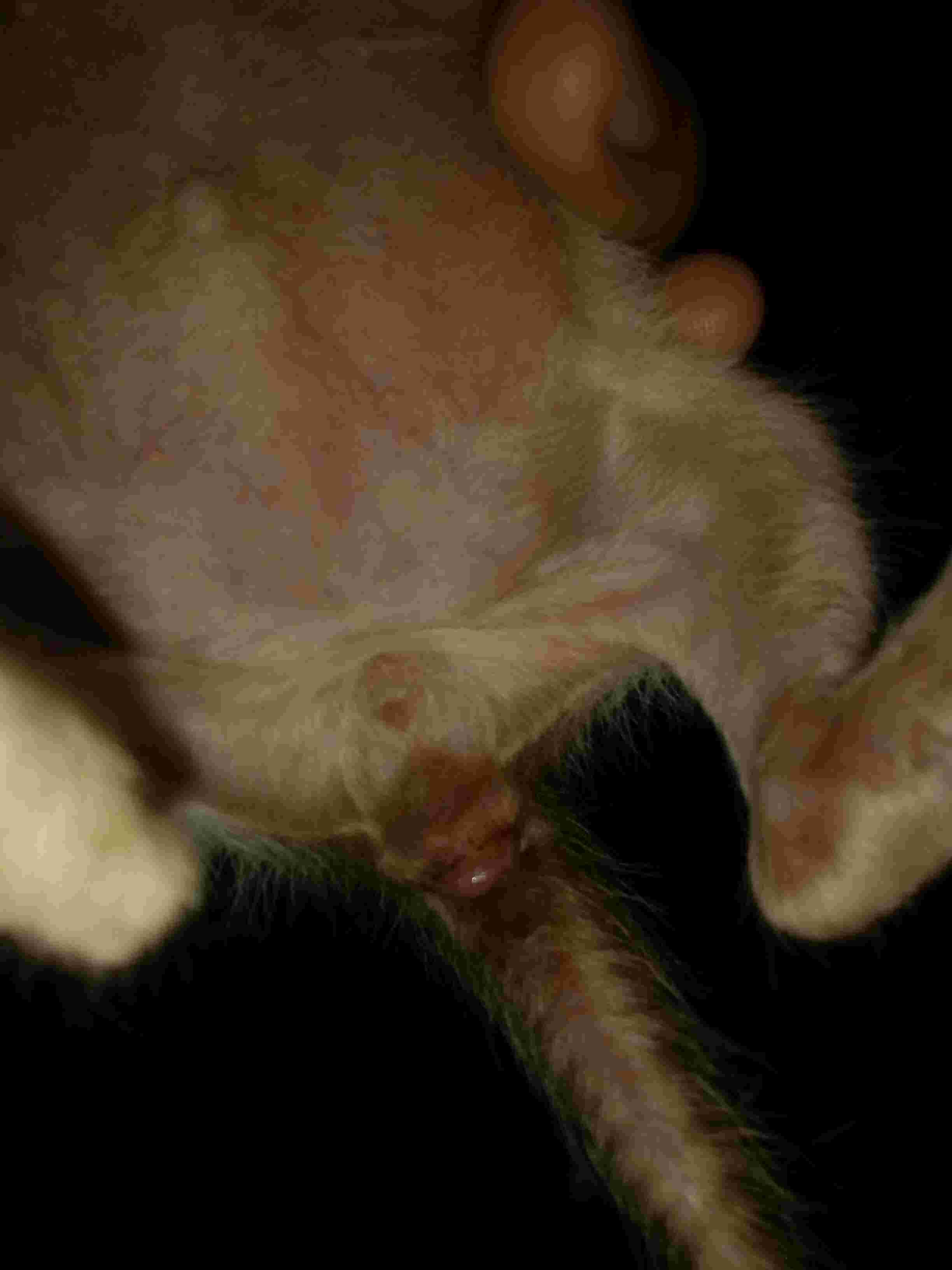 Question details sensitive content