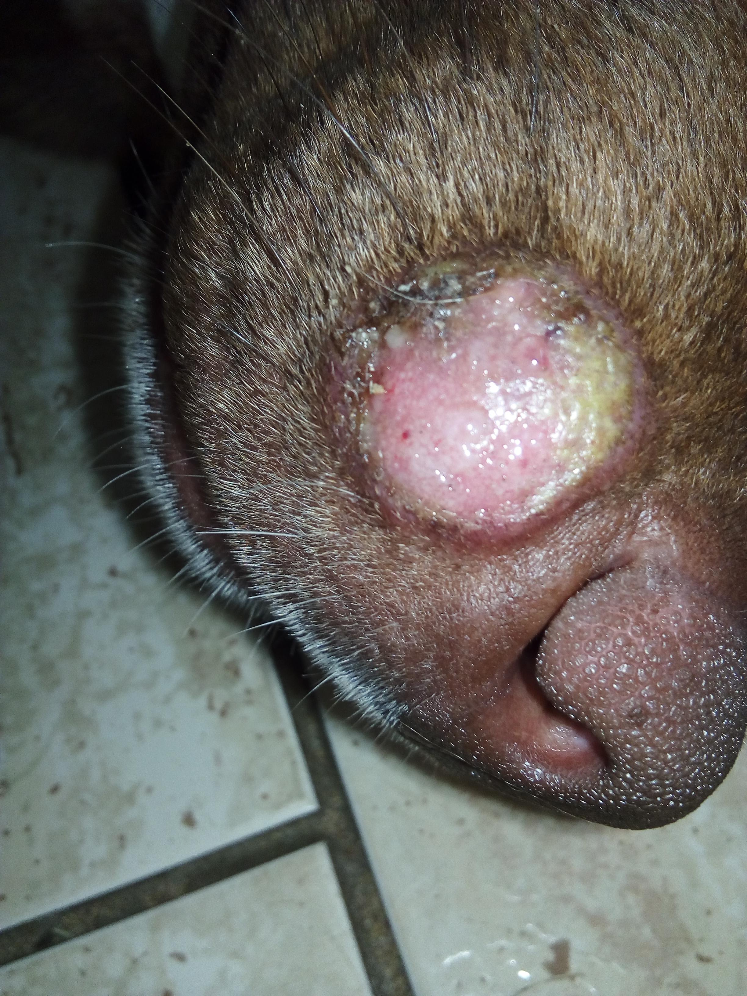 Question details sensitive content