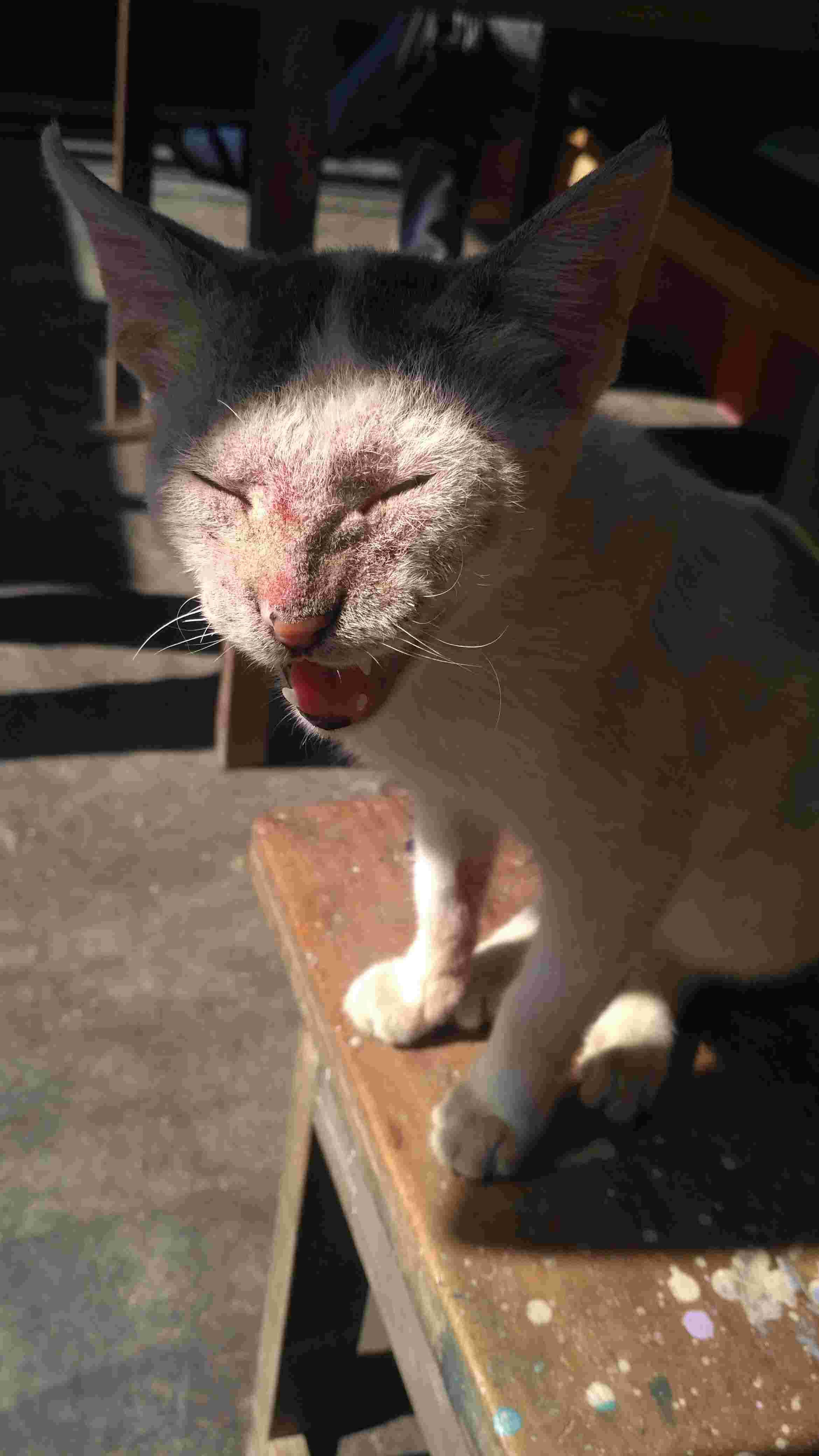 Question details sensitive content