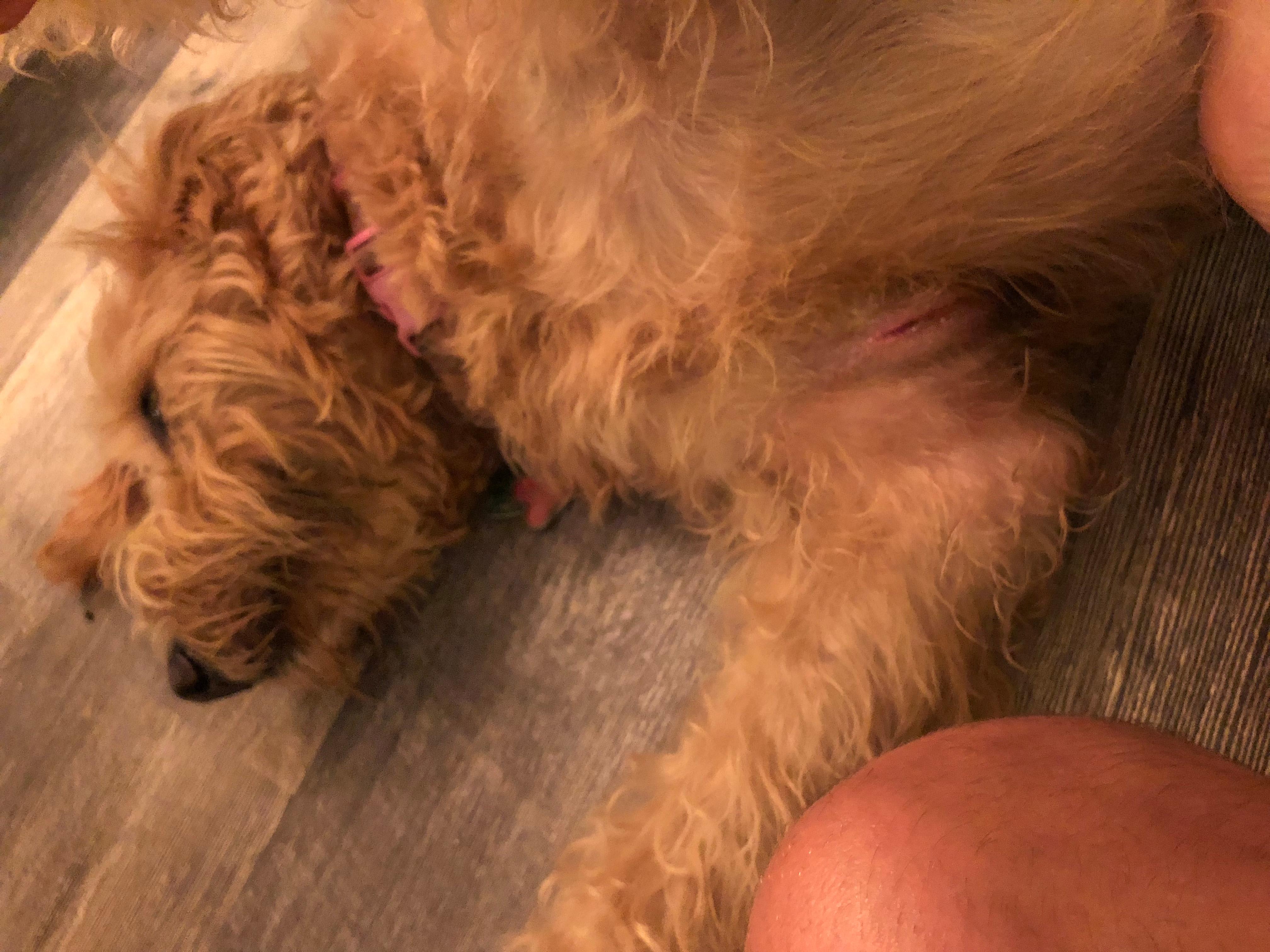 Question details sensitive content