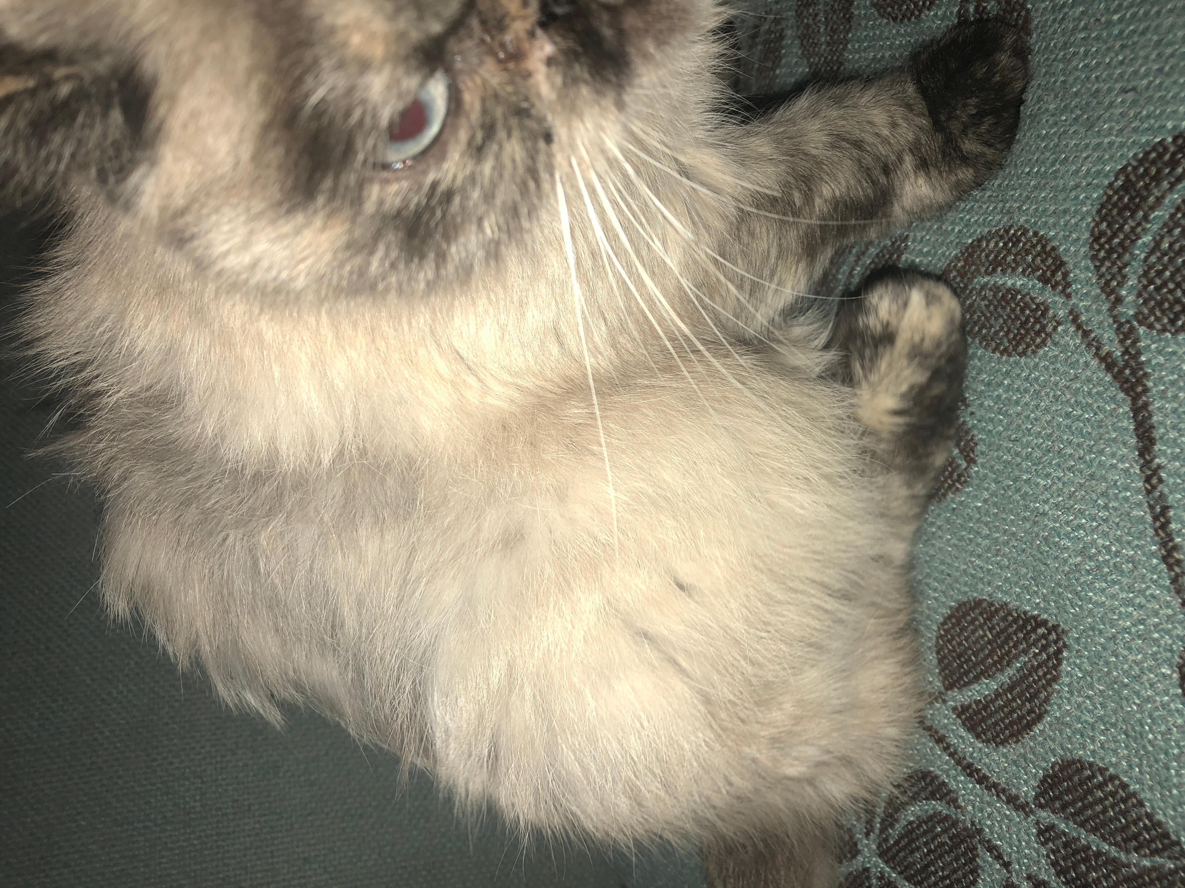 Question details sensitive content