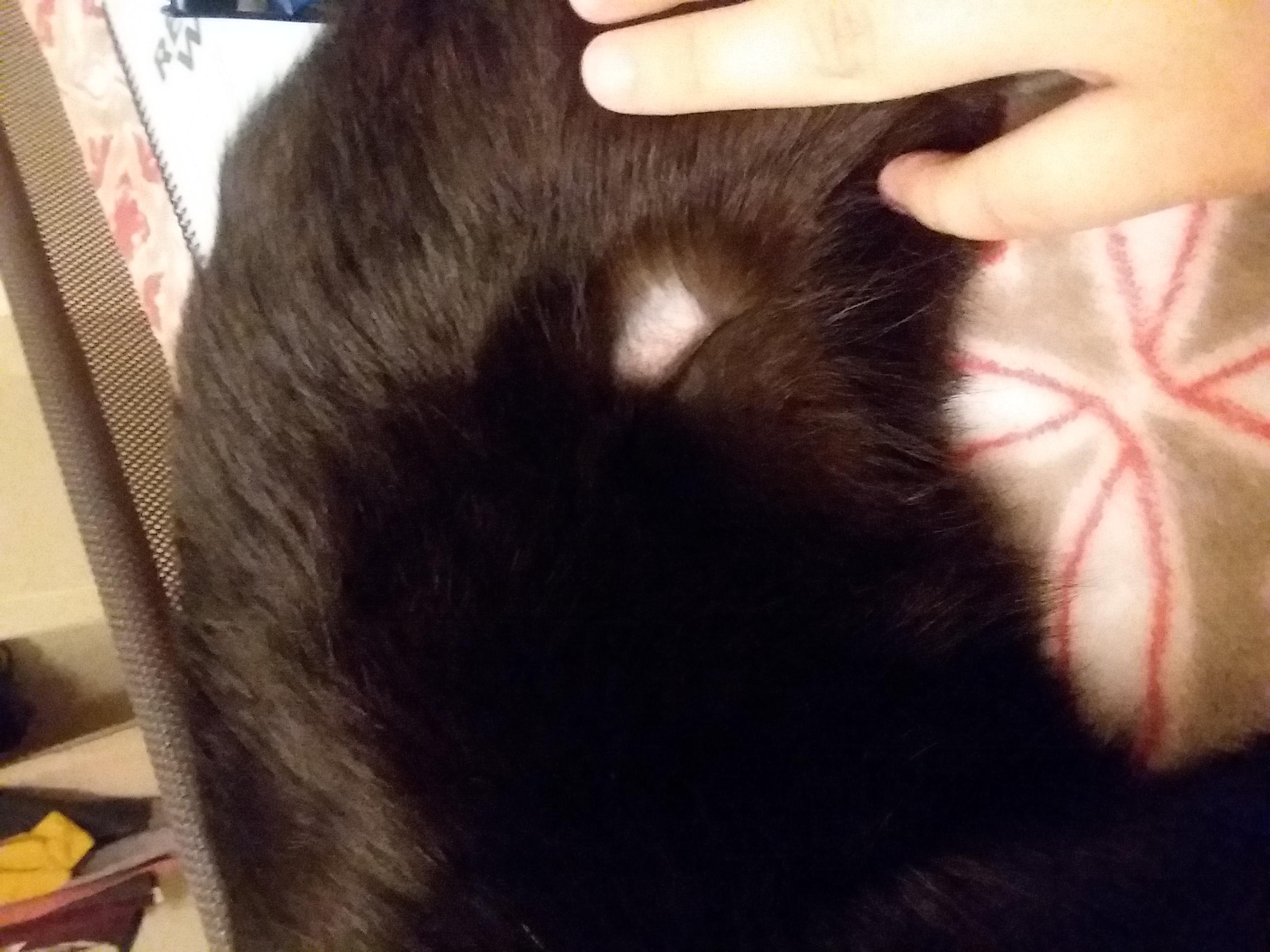 Question details sensitive content