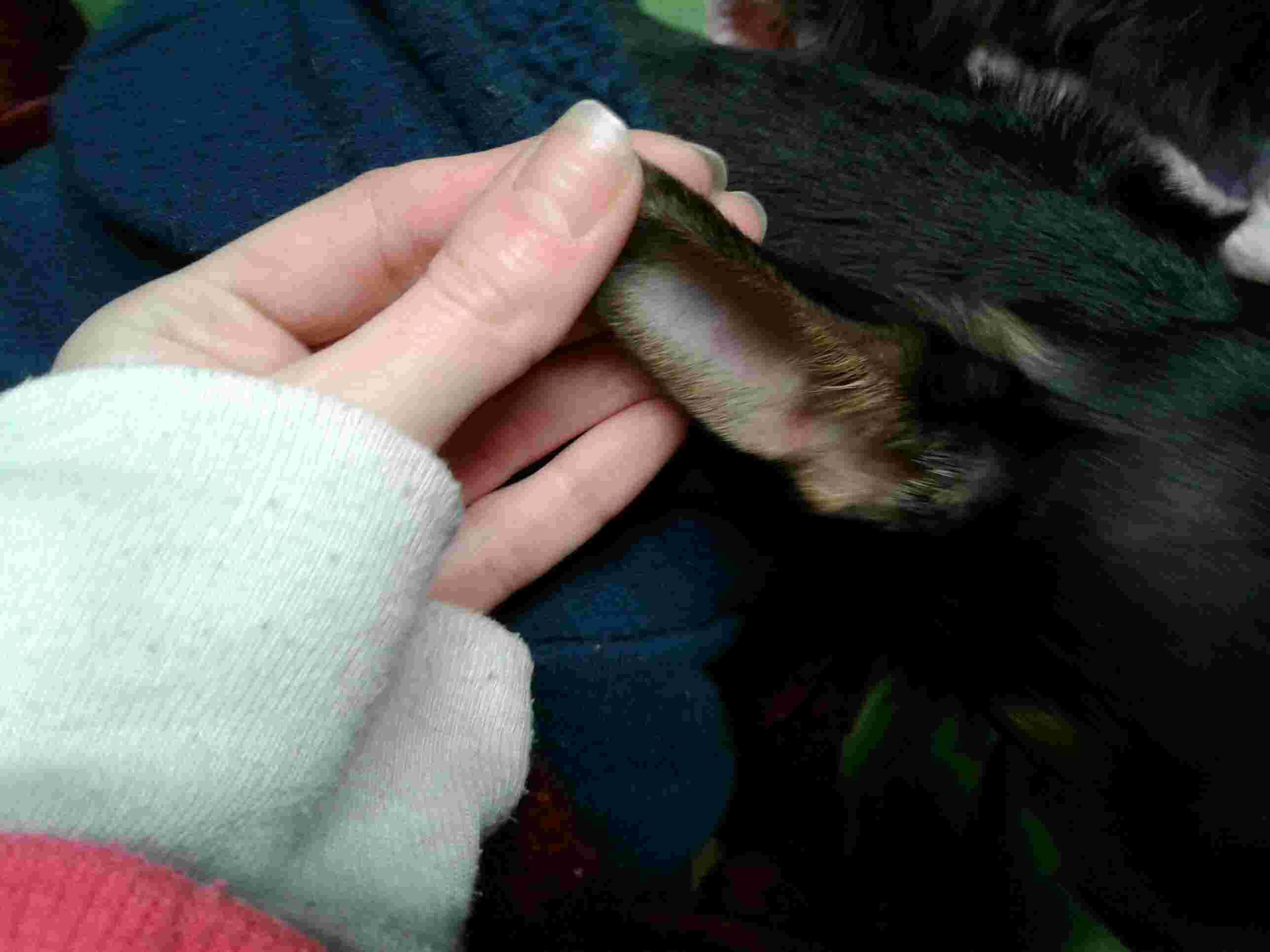 Question details sensitive content