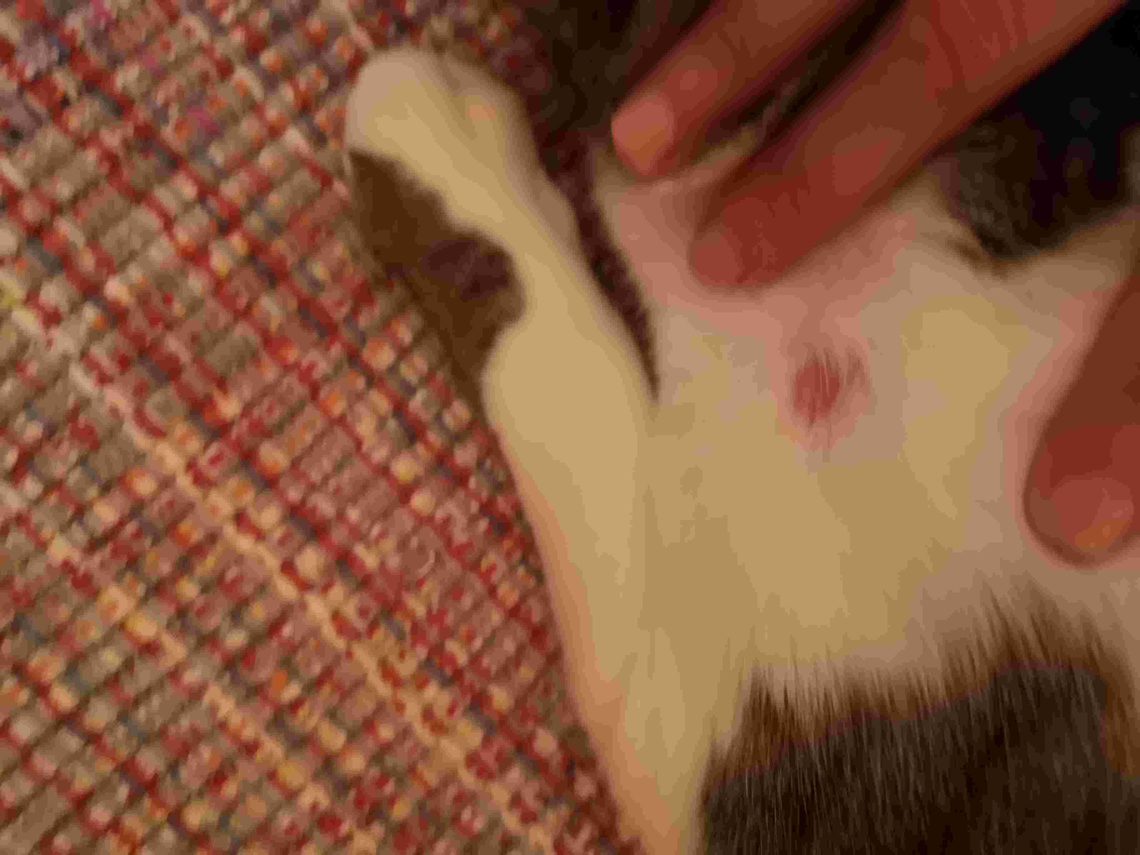 Question details sensitive content