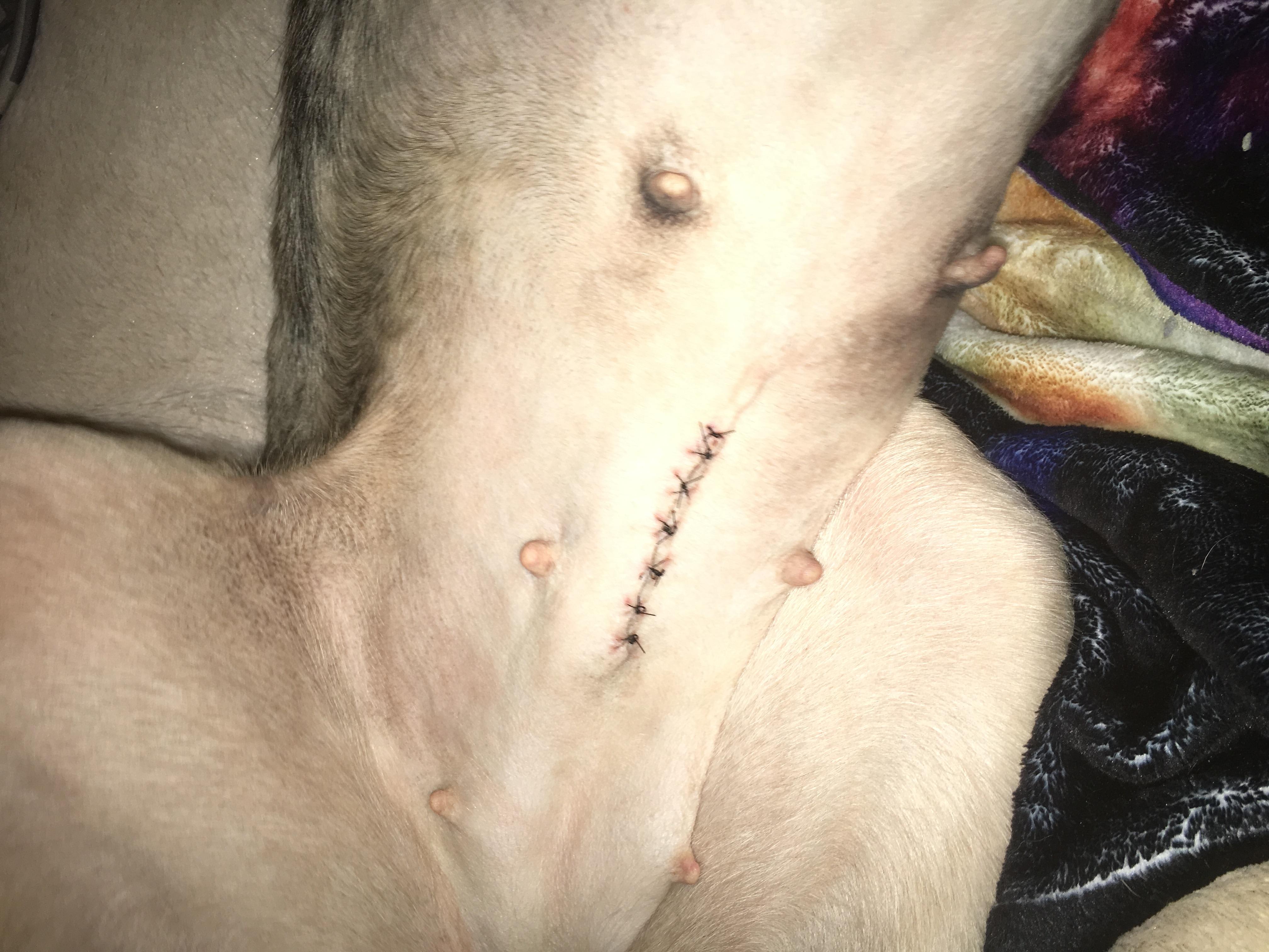 Question details sensitive content