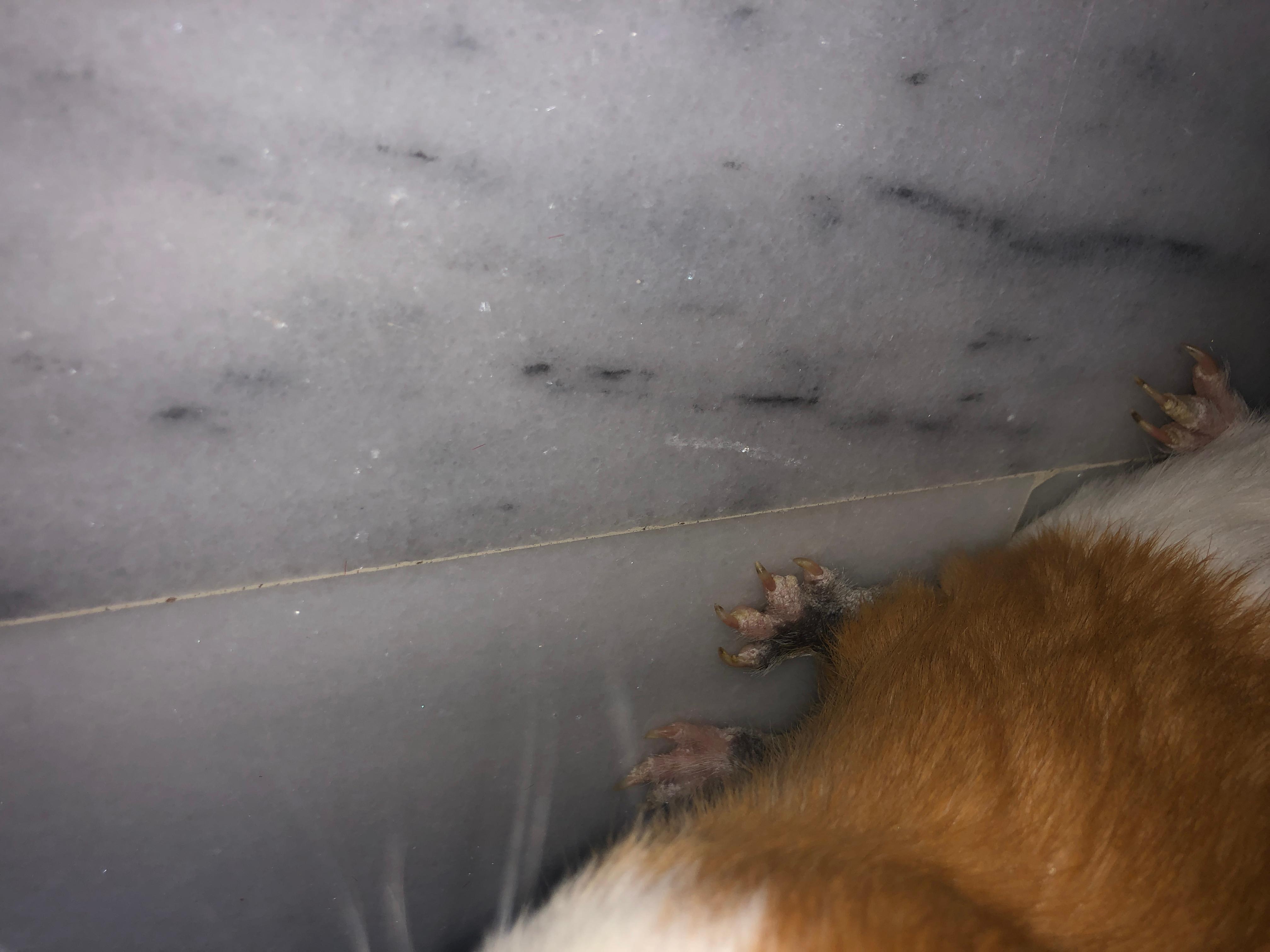 Question details sensitive content