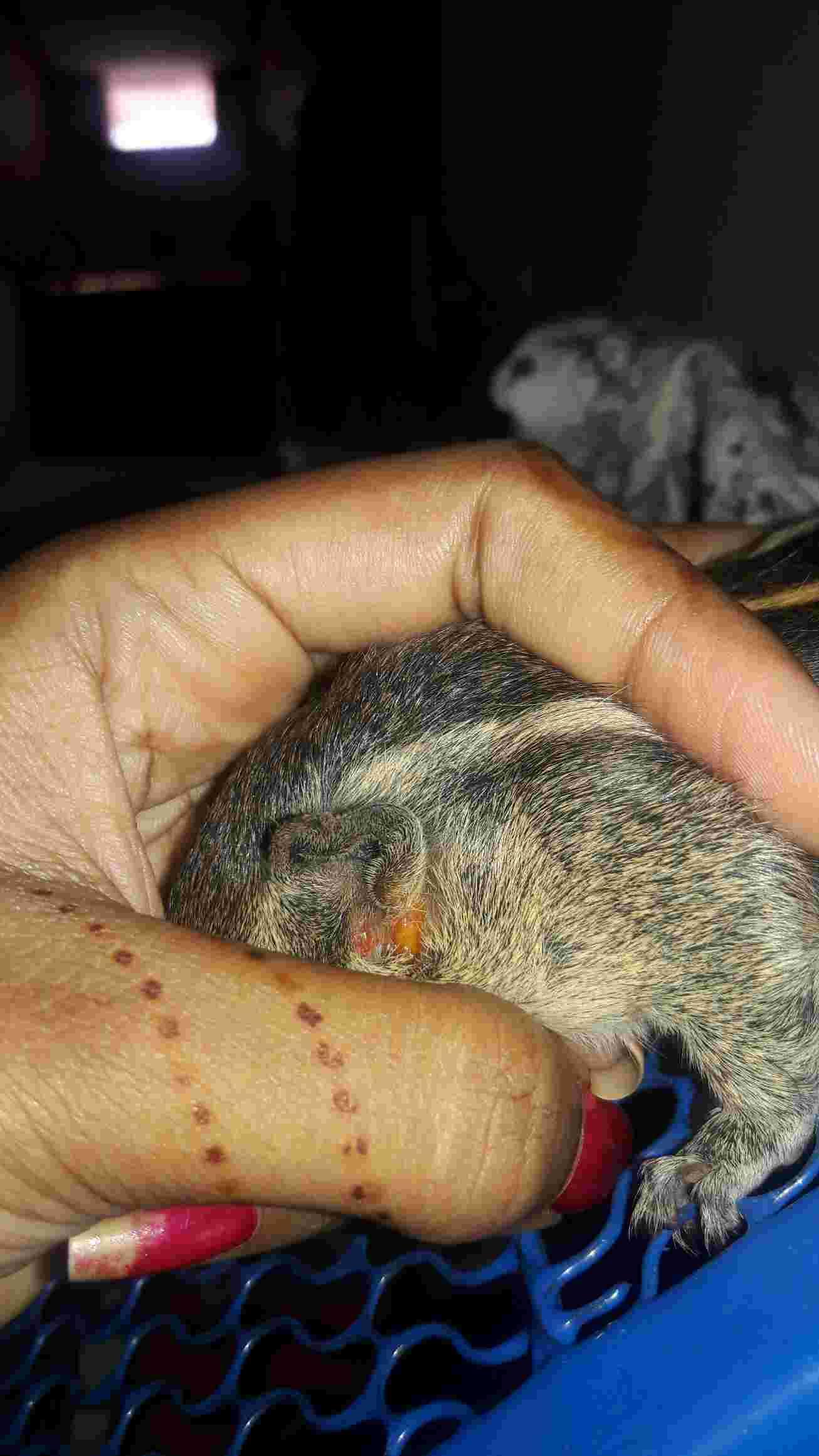 Question details sensitive content