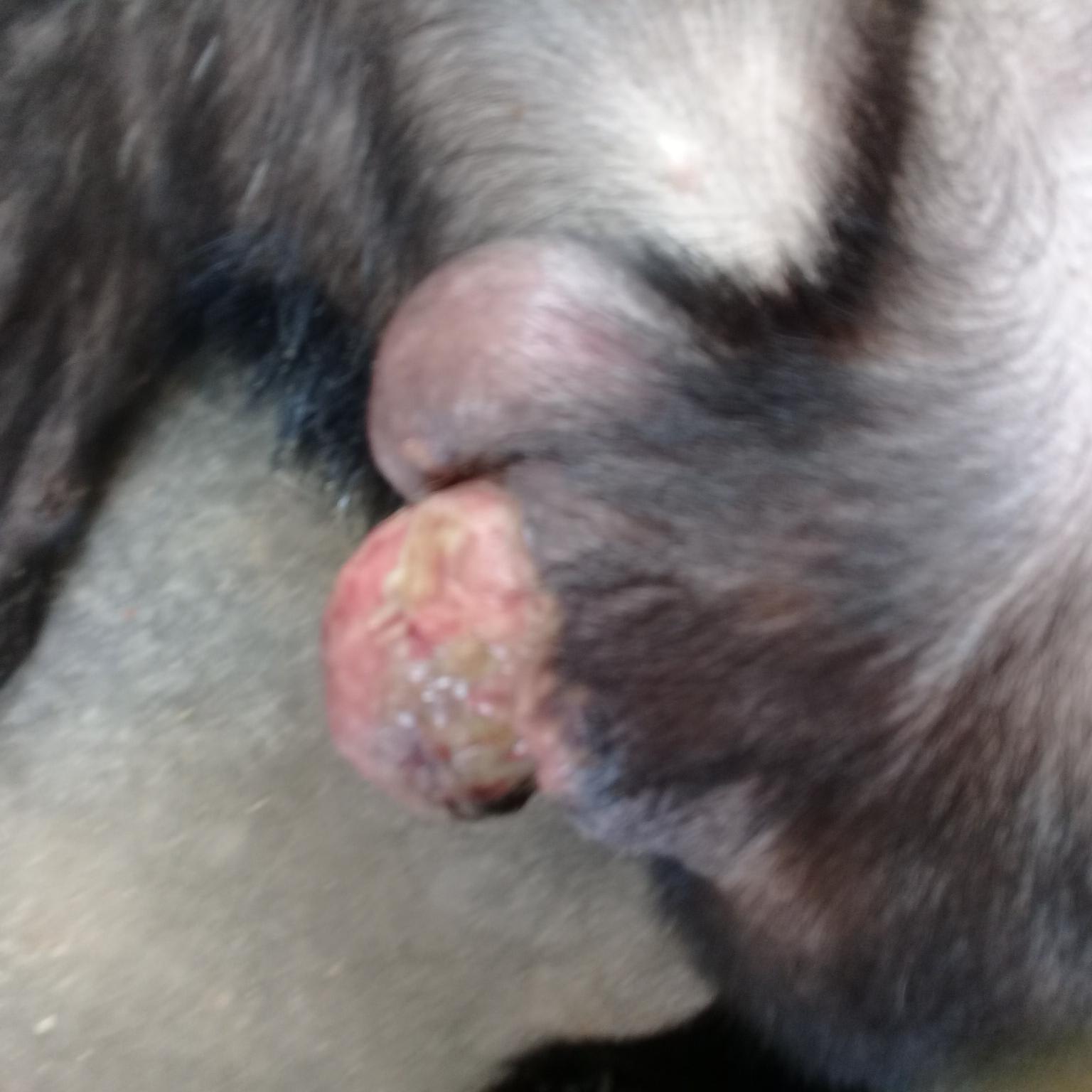 Question details sensitive content