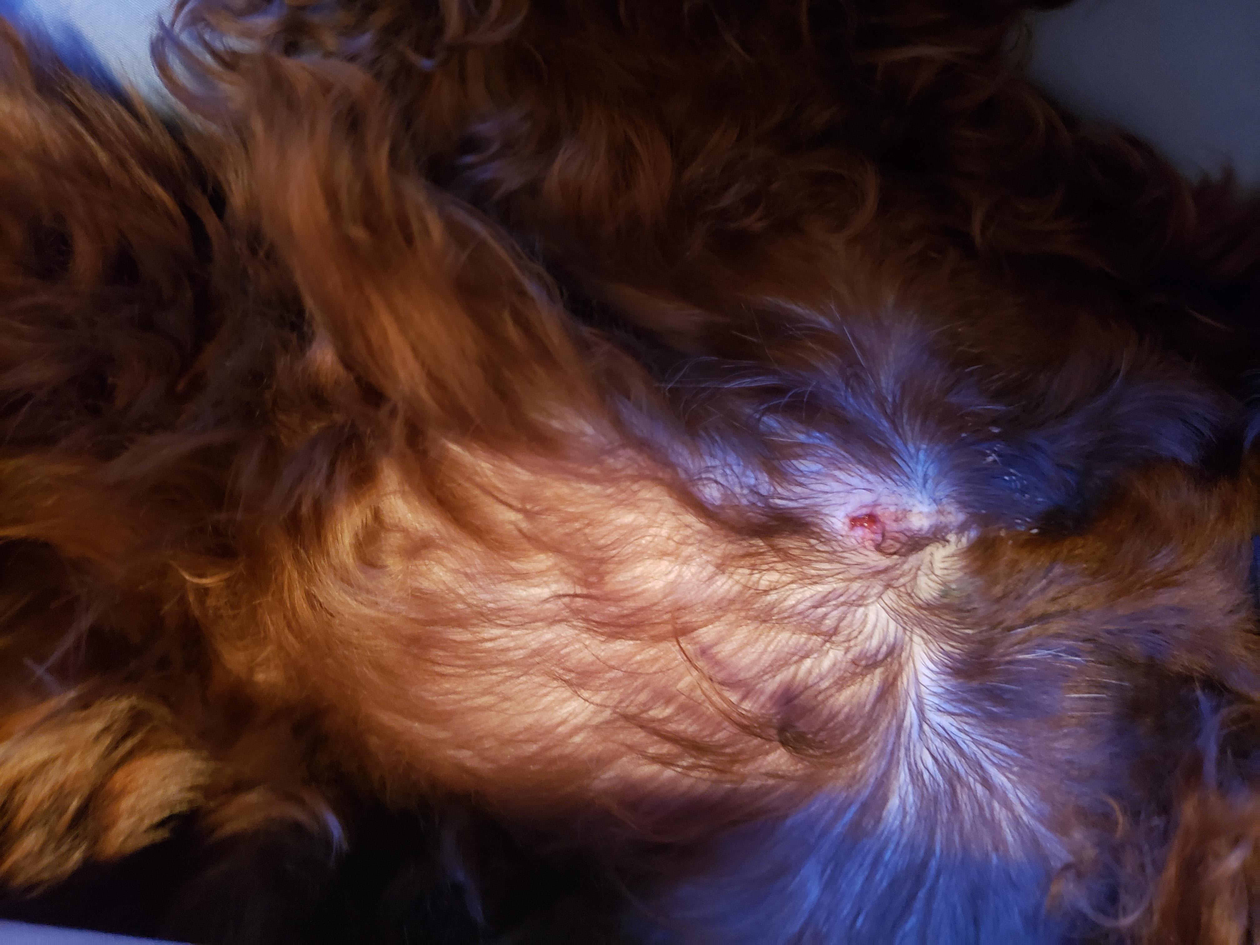 Question details sensitive content