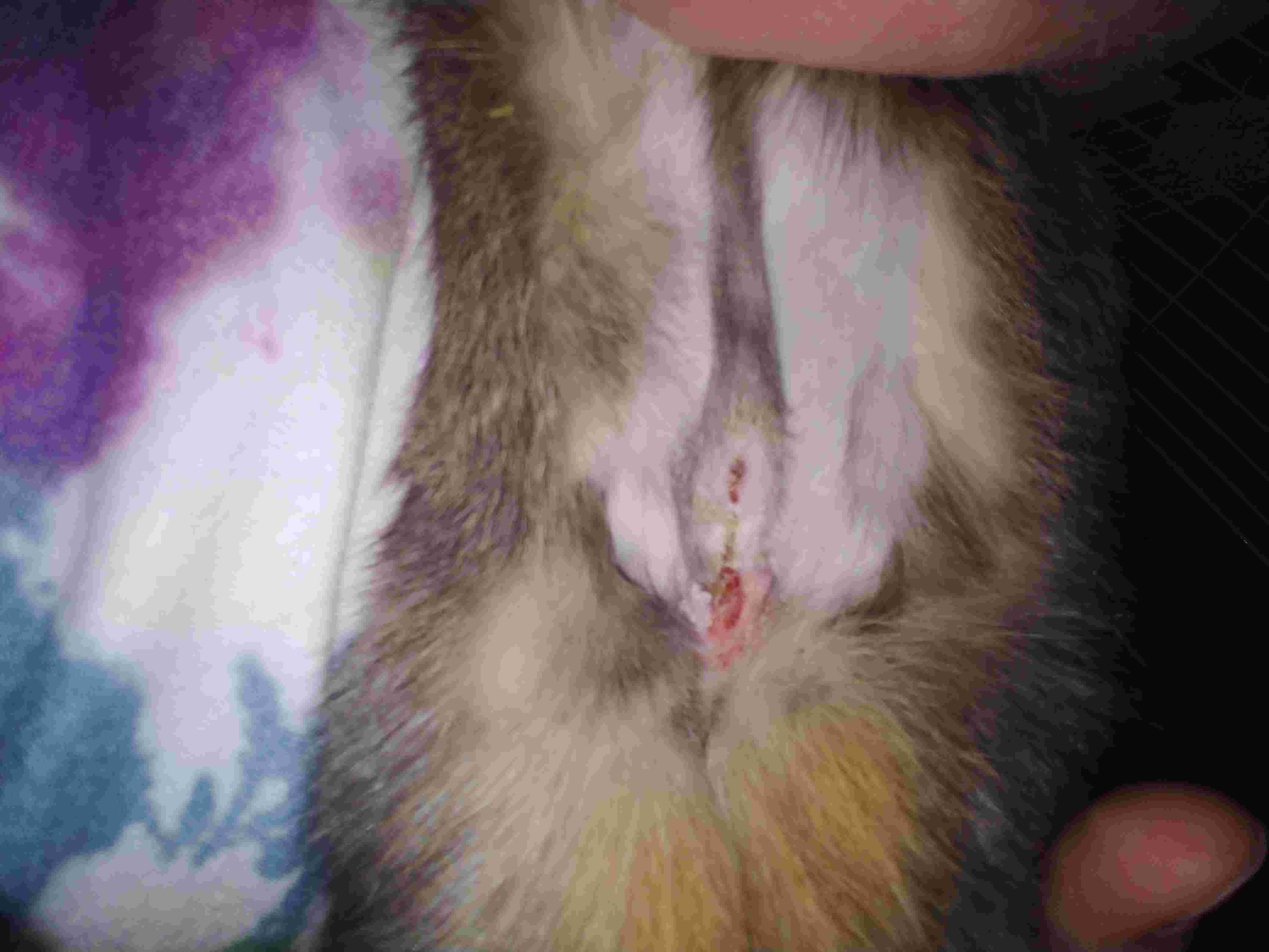 Question details sensitive content