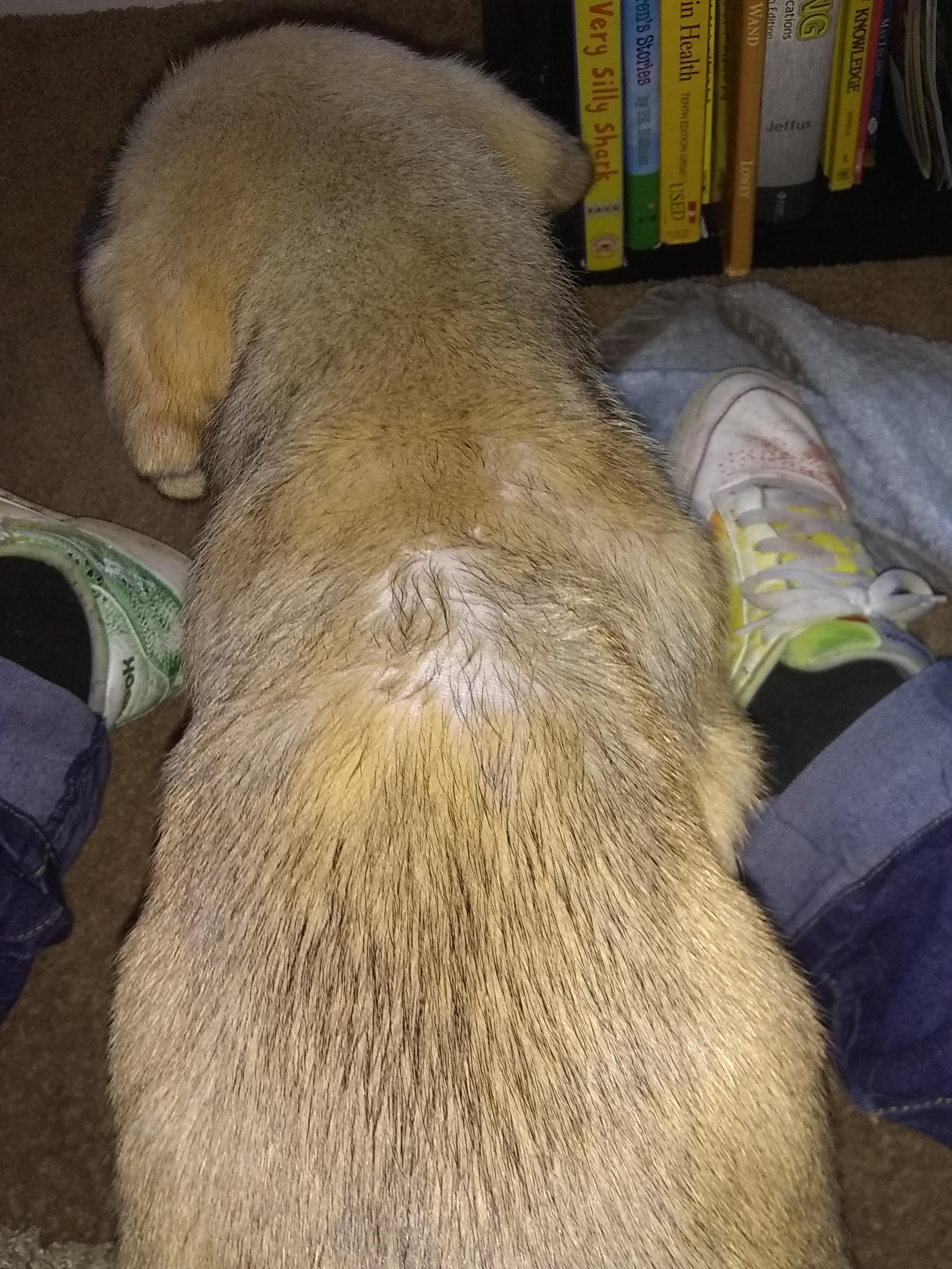 Question details sensitive content