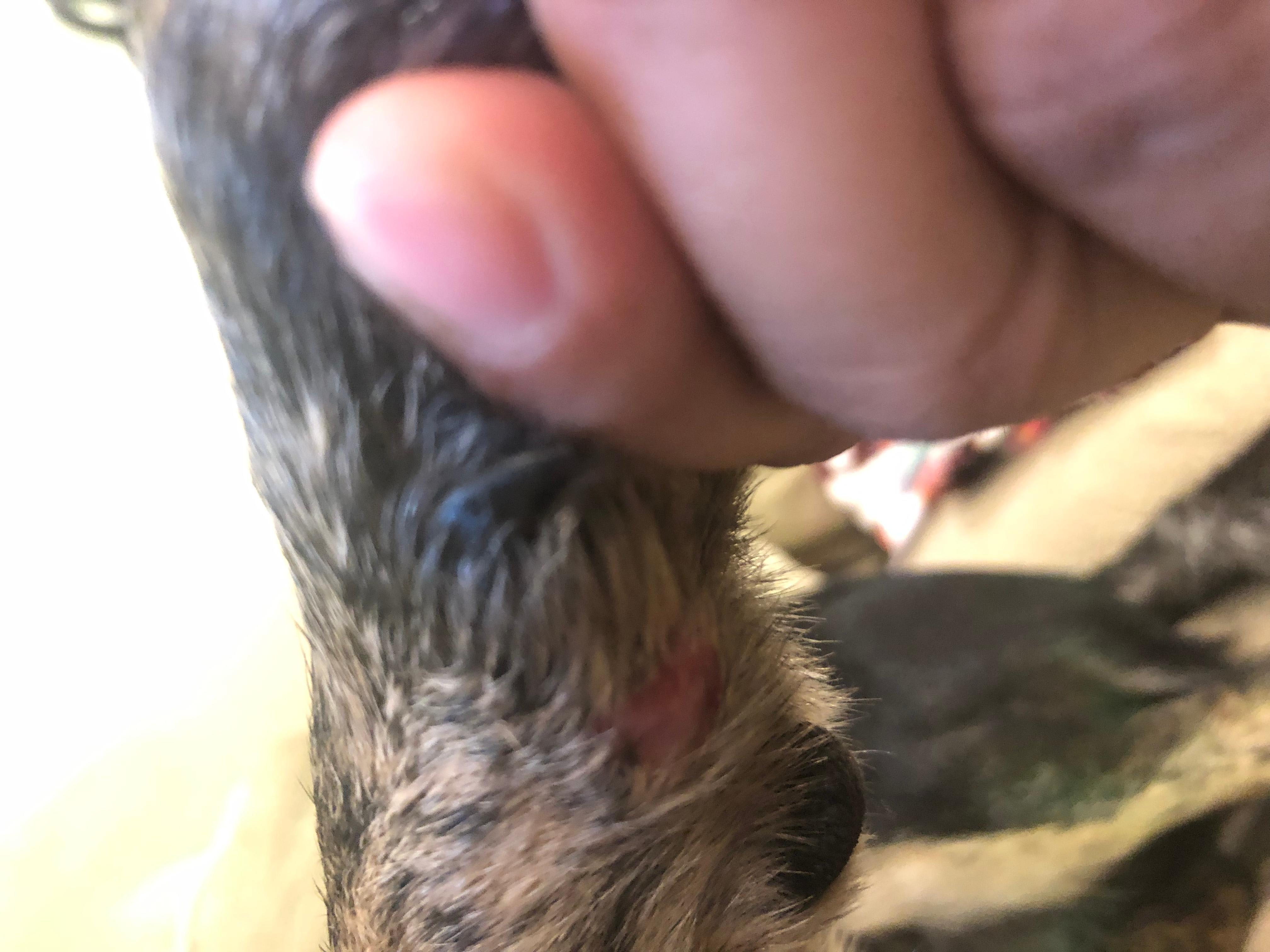 Question details sensitive content