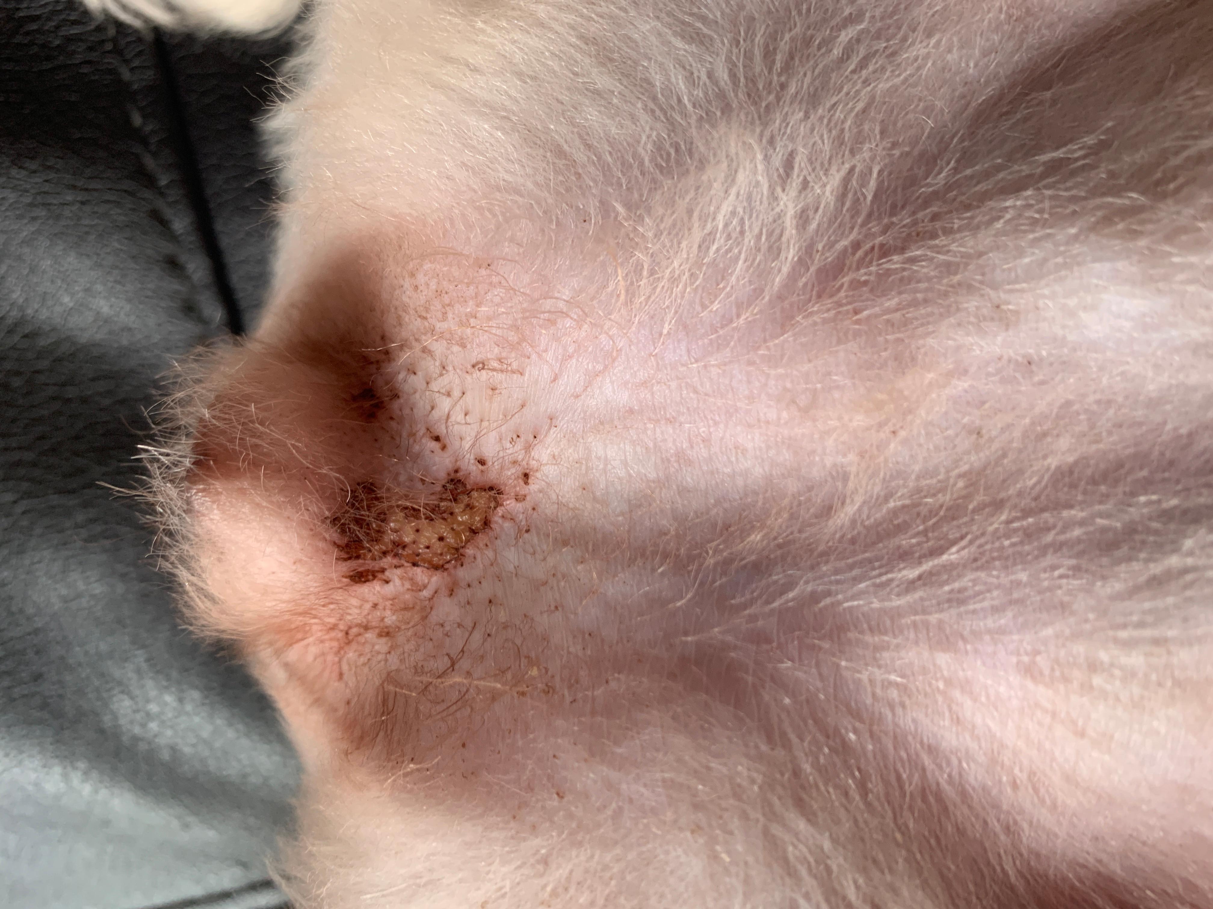 Question details sensitive content