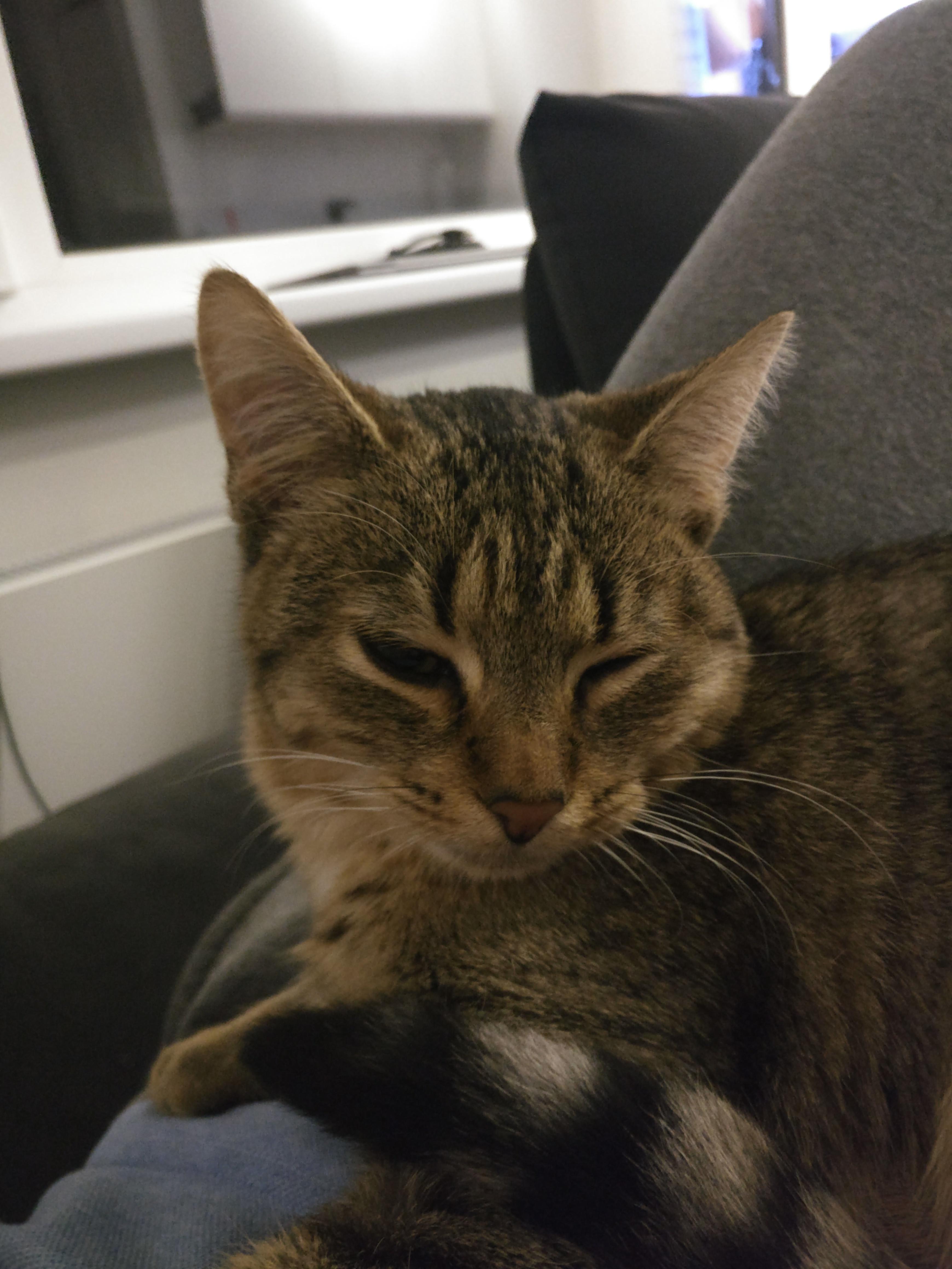 Question details sensitive content