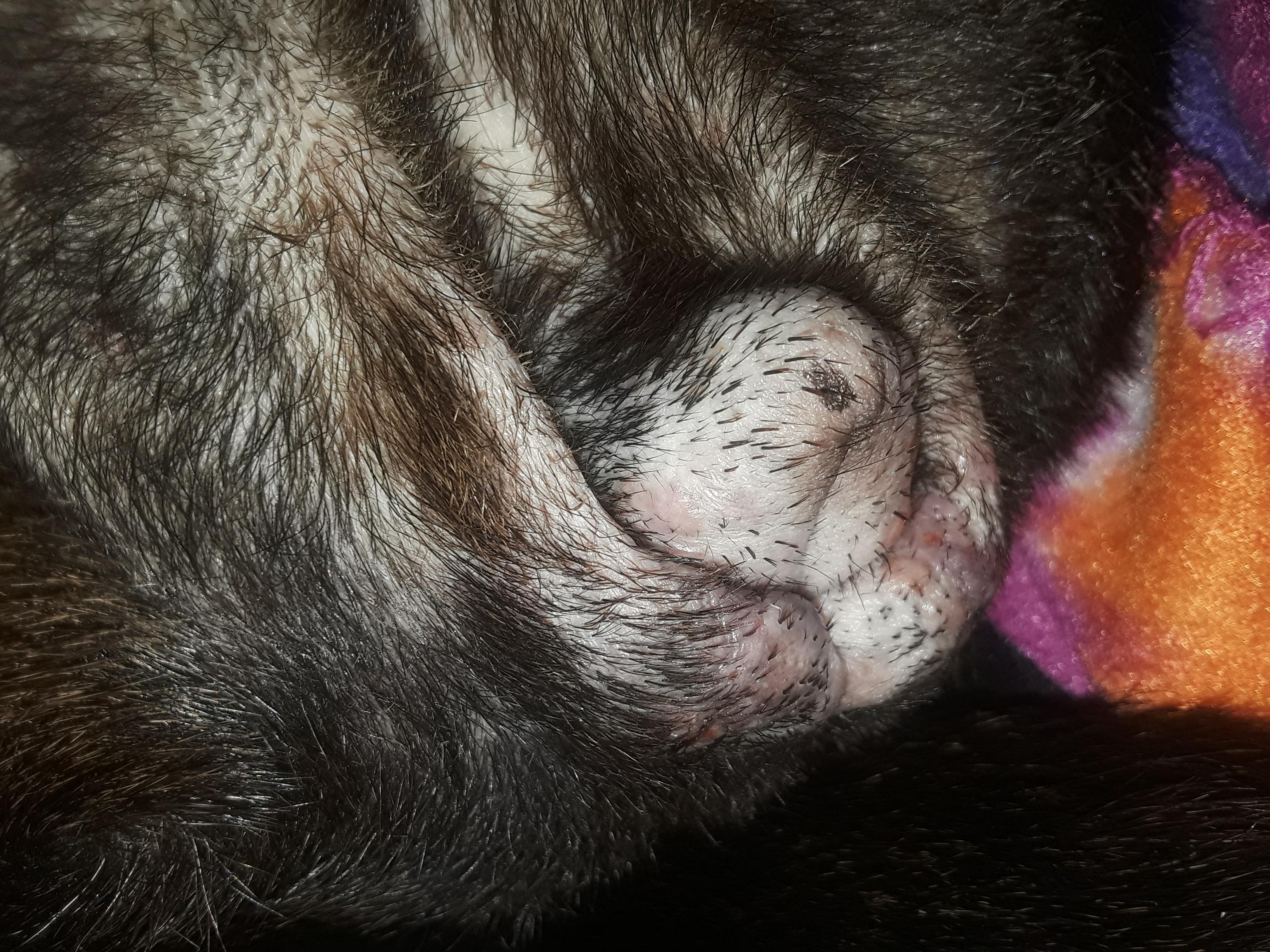 Question details sensitive content