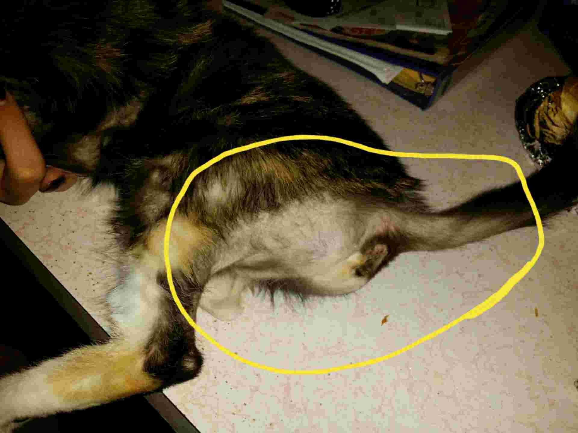 Question details sensitive content