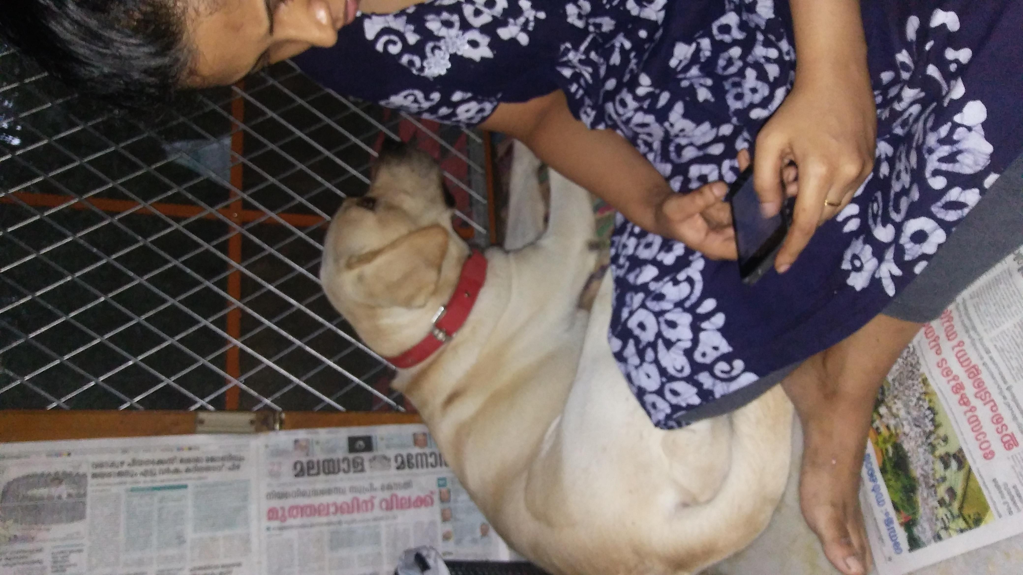 Question details sensitive content