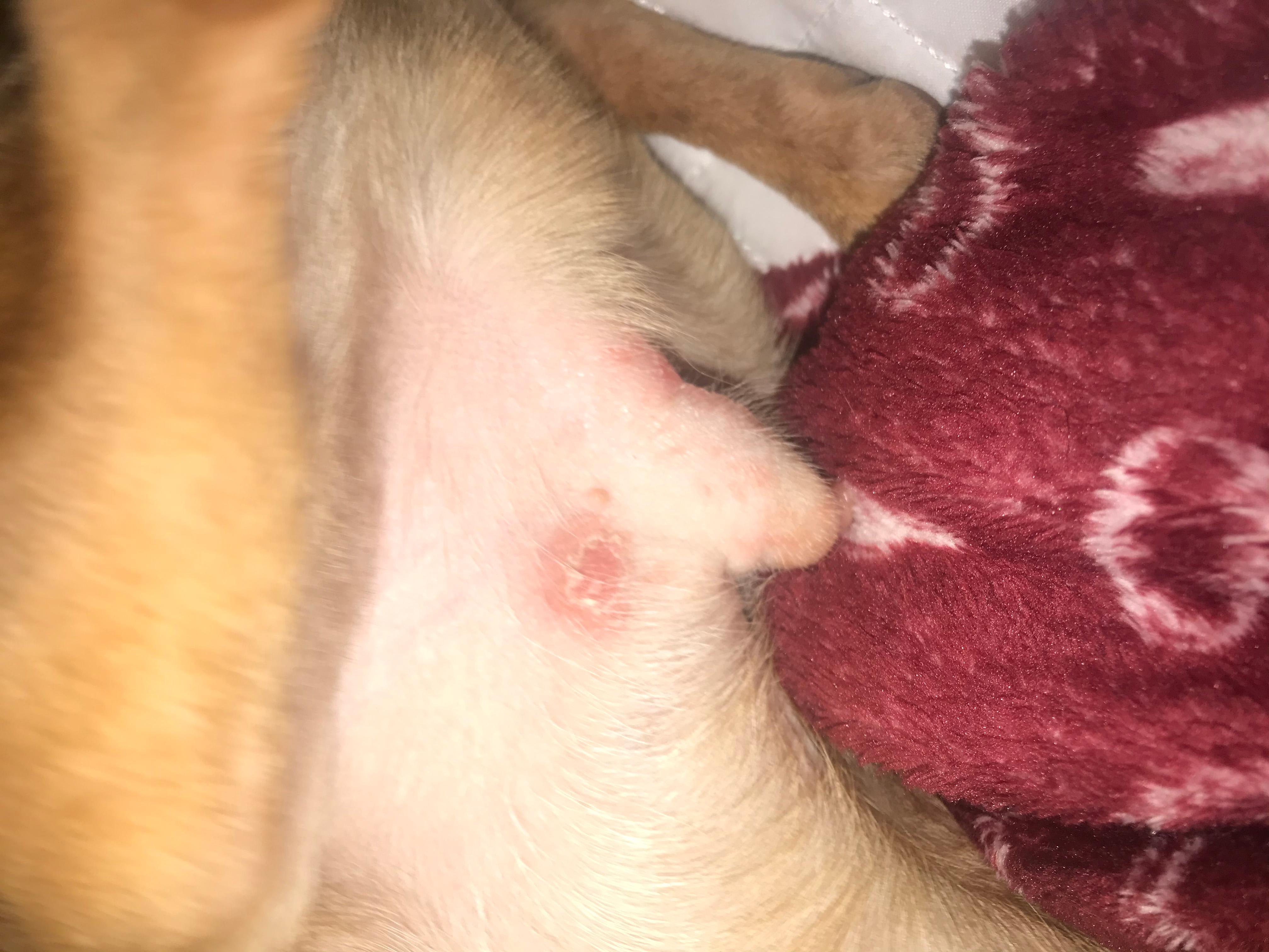 Question details sensitive content