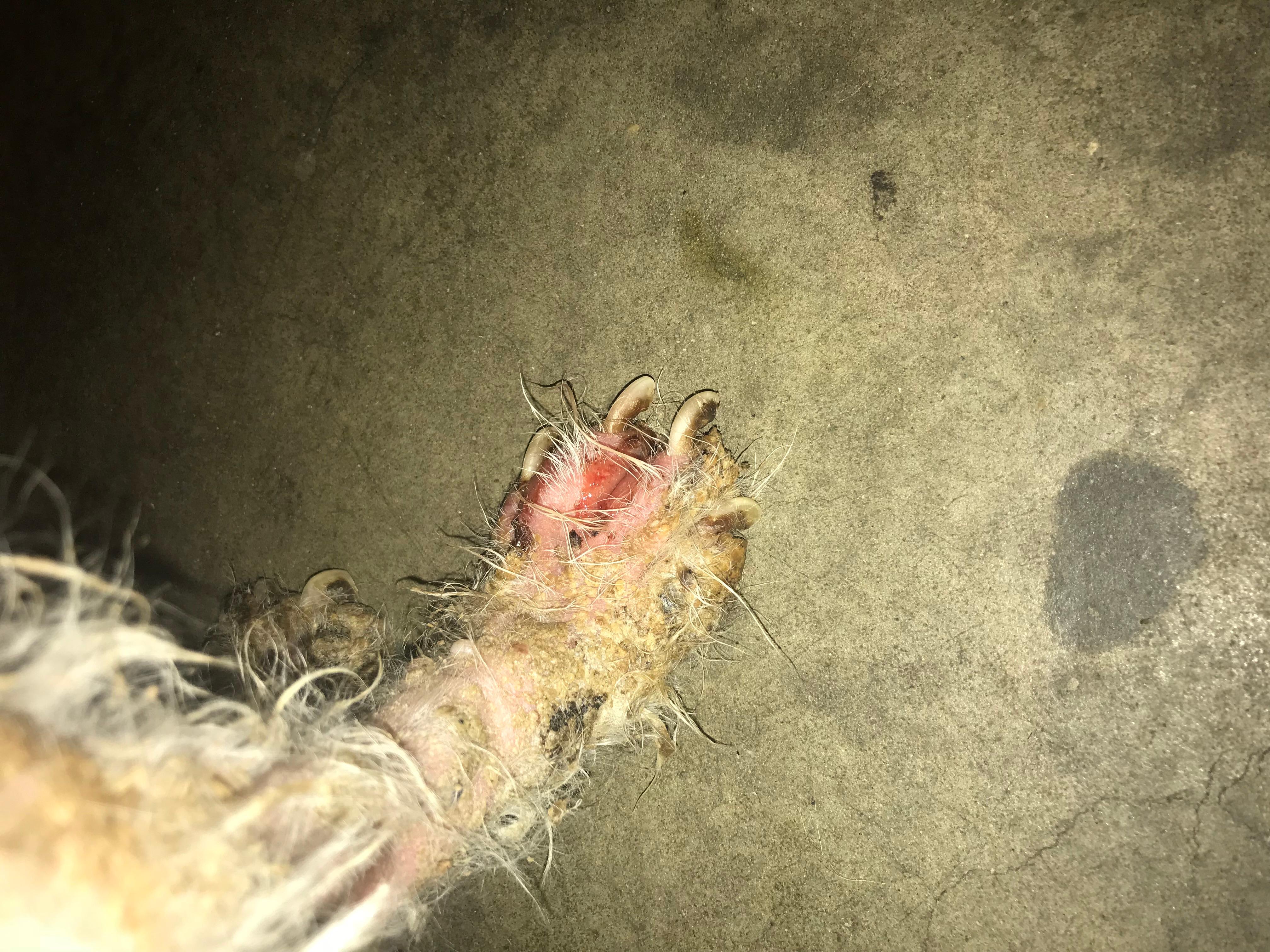 Question details sensitive content