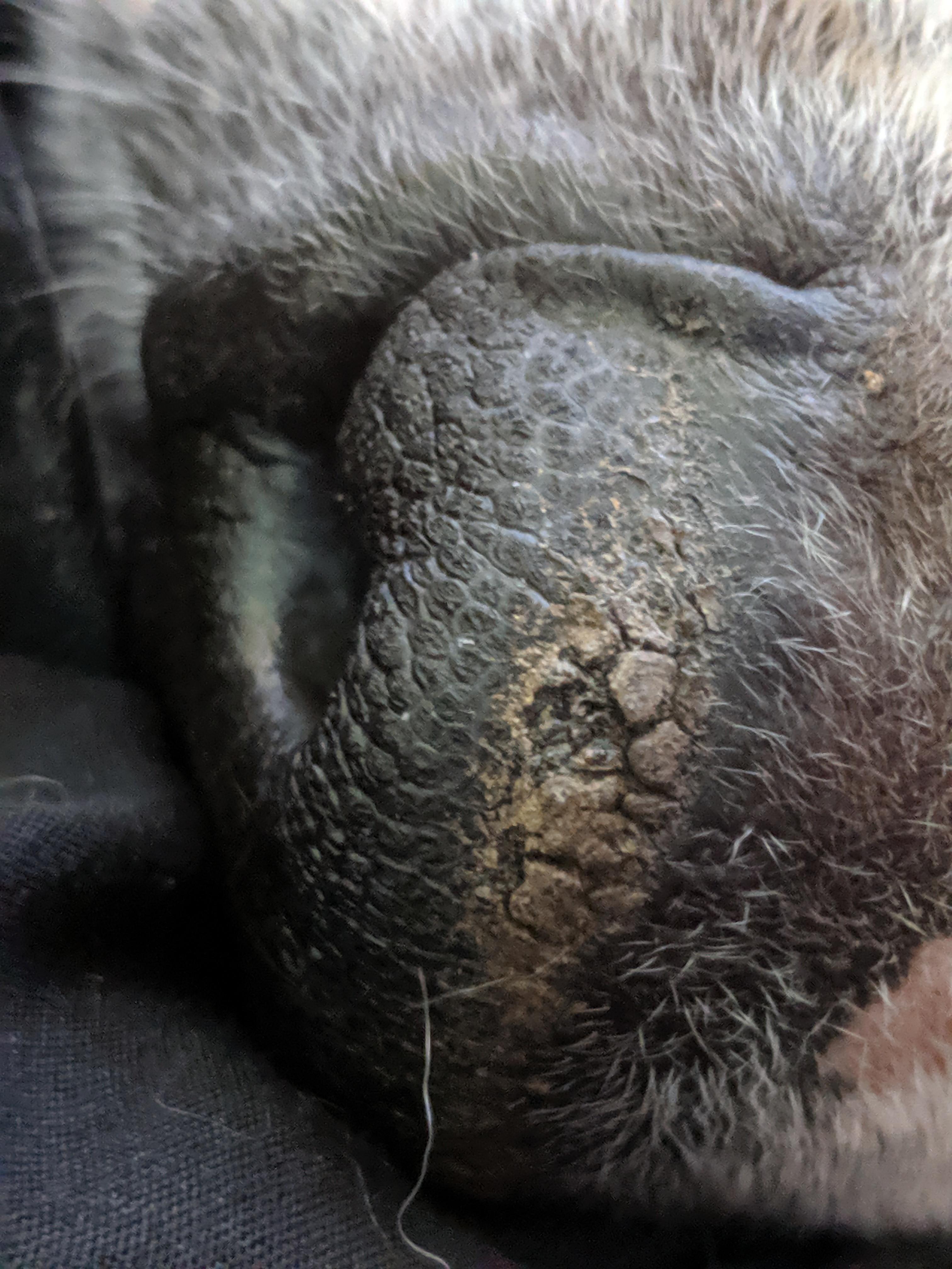 Question details sensitive content