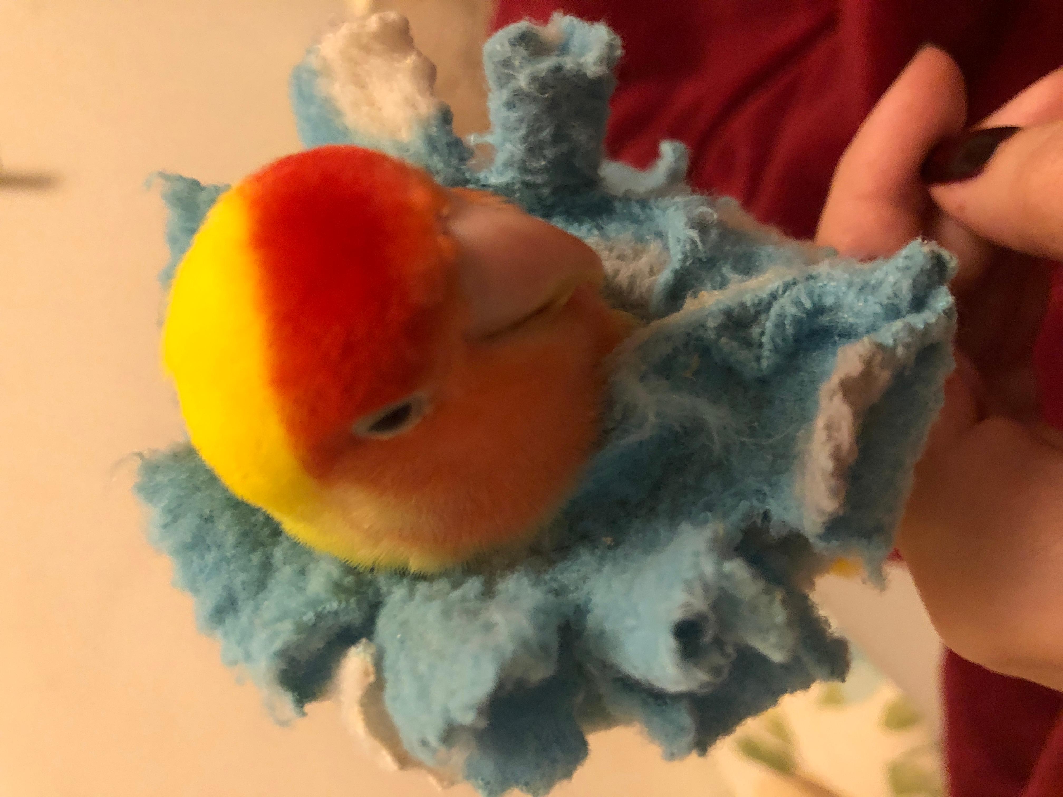 Question details sensitive content