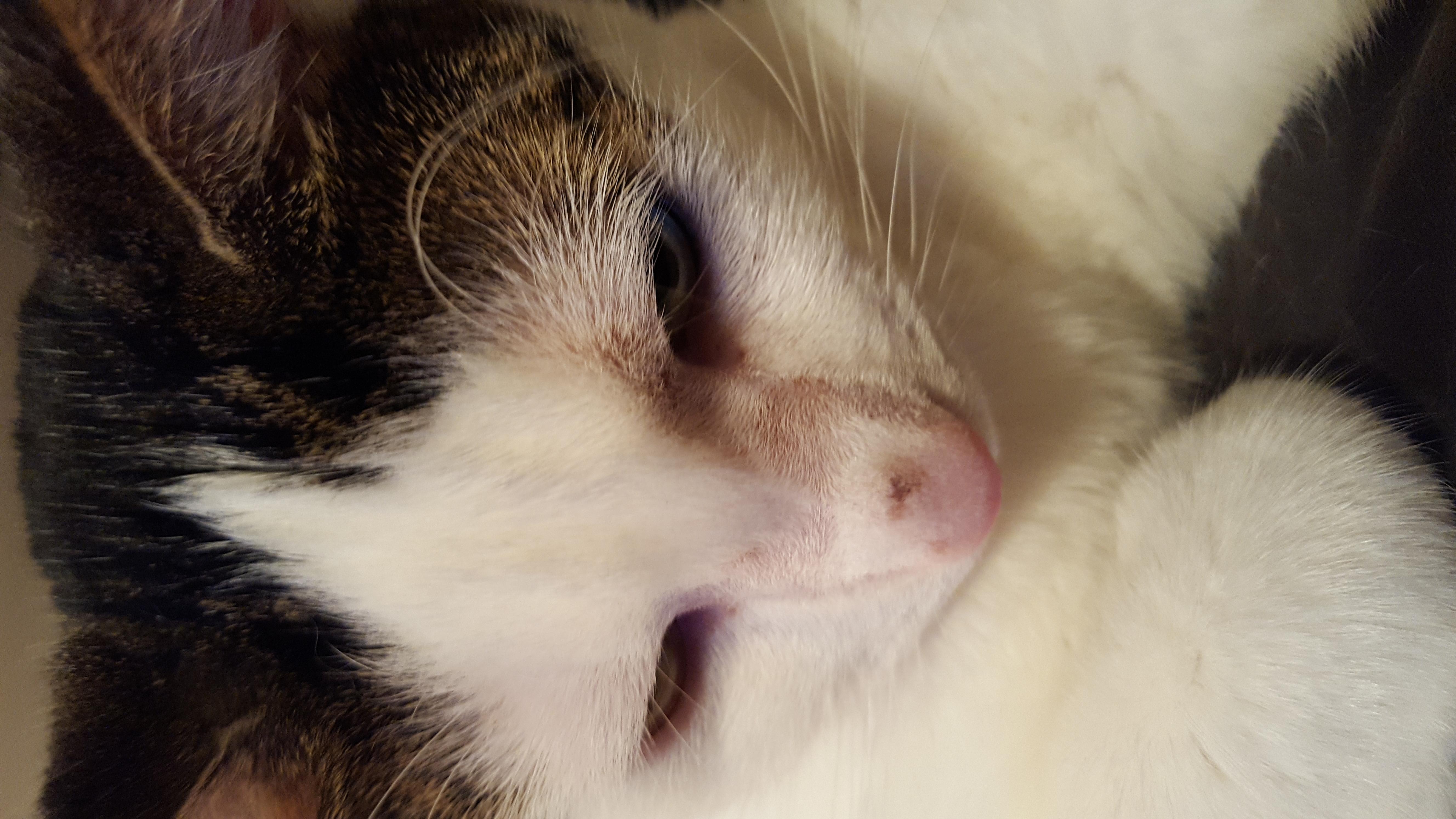 Question details sensitive content