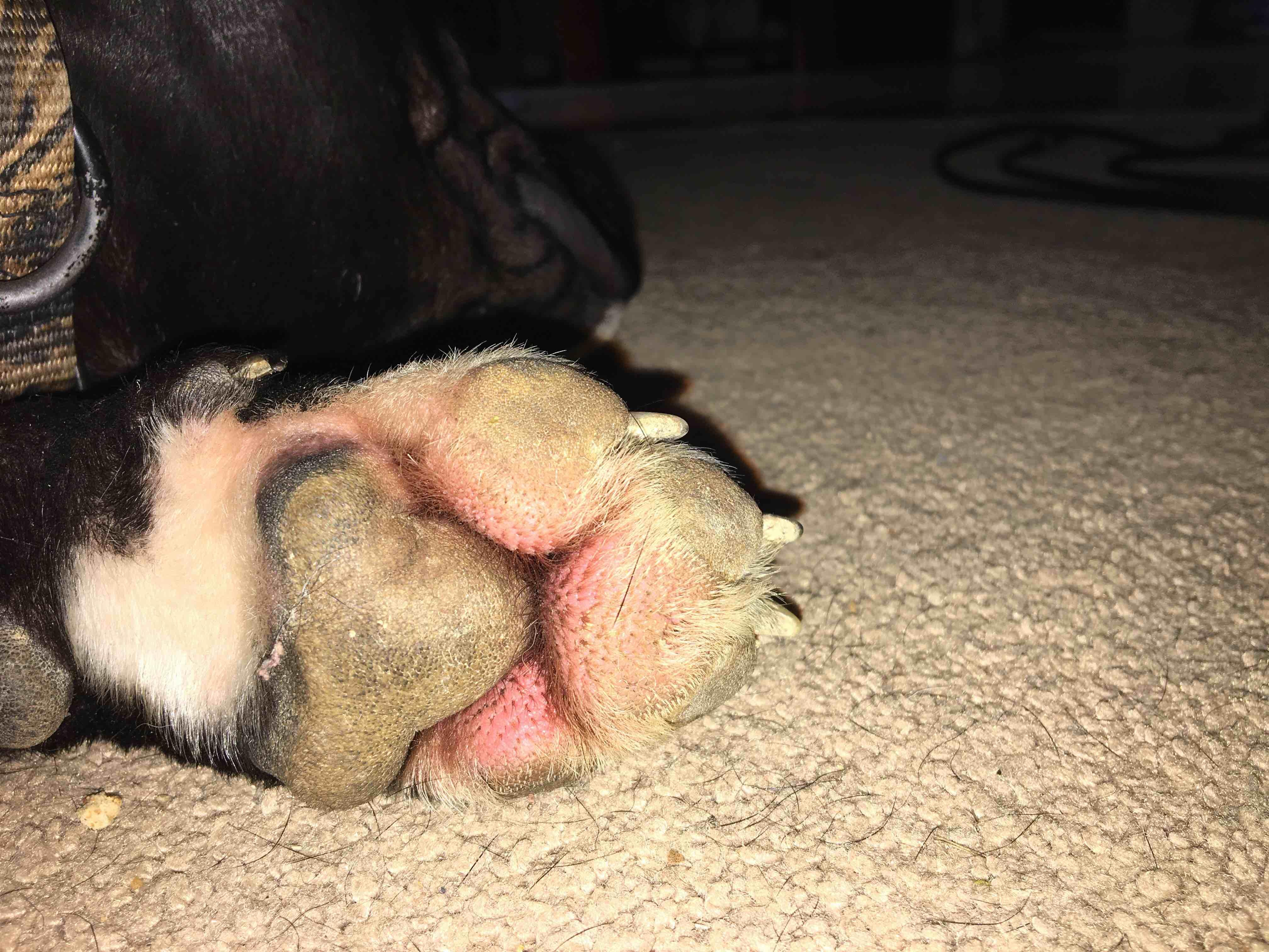 Question details sensitive content