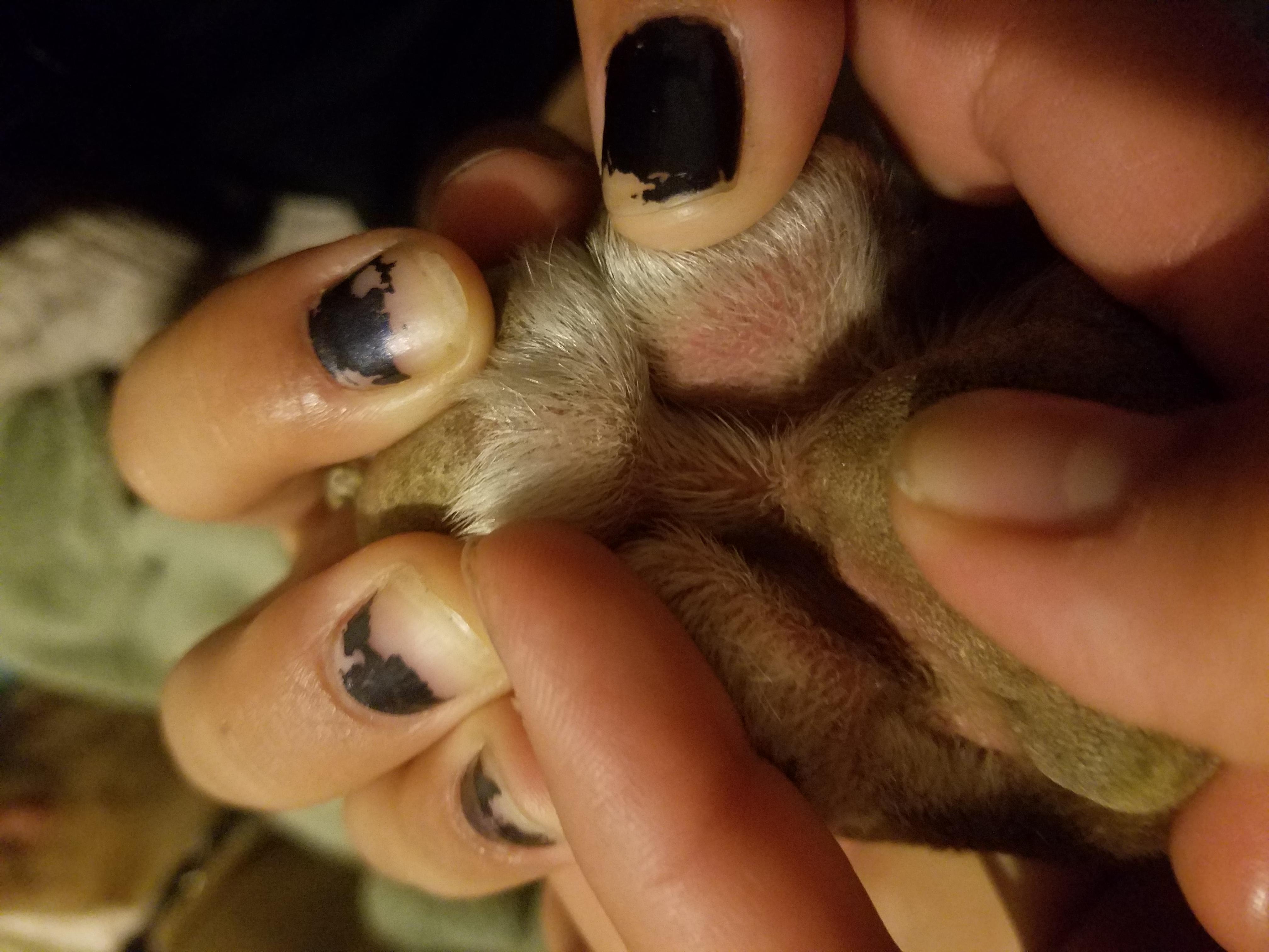 Question details sensitive content