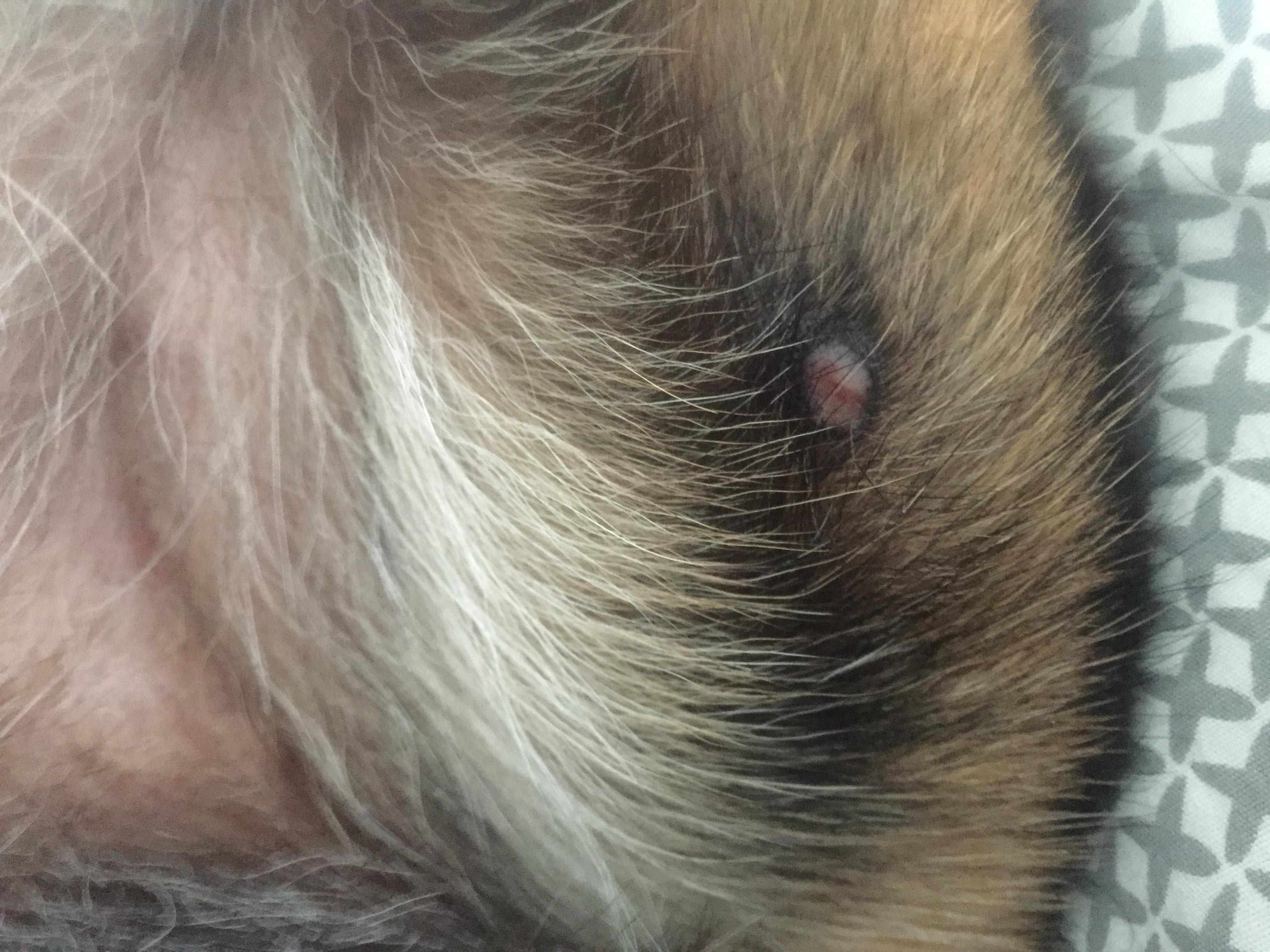 Question details sensitive content