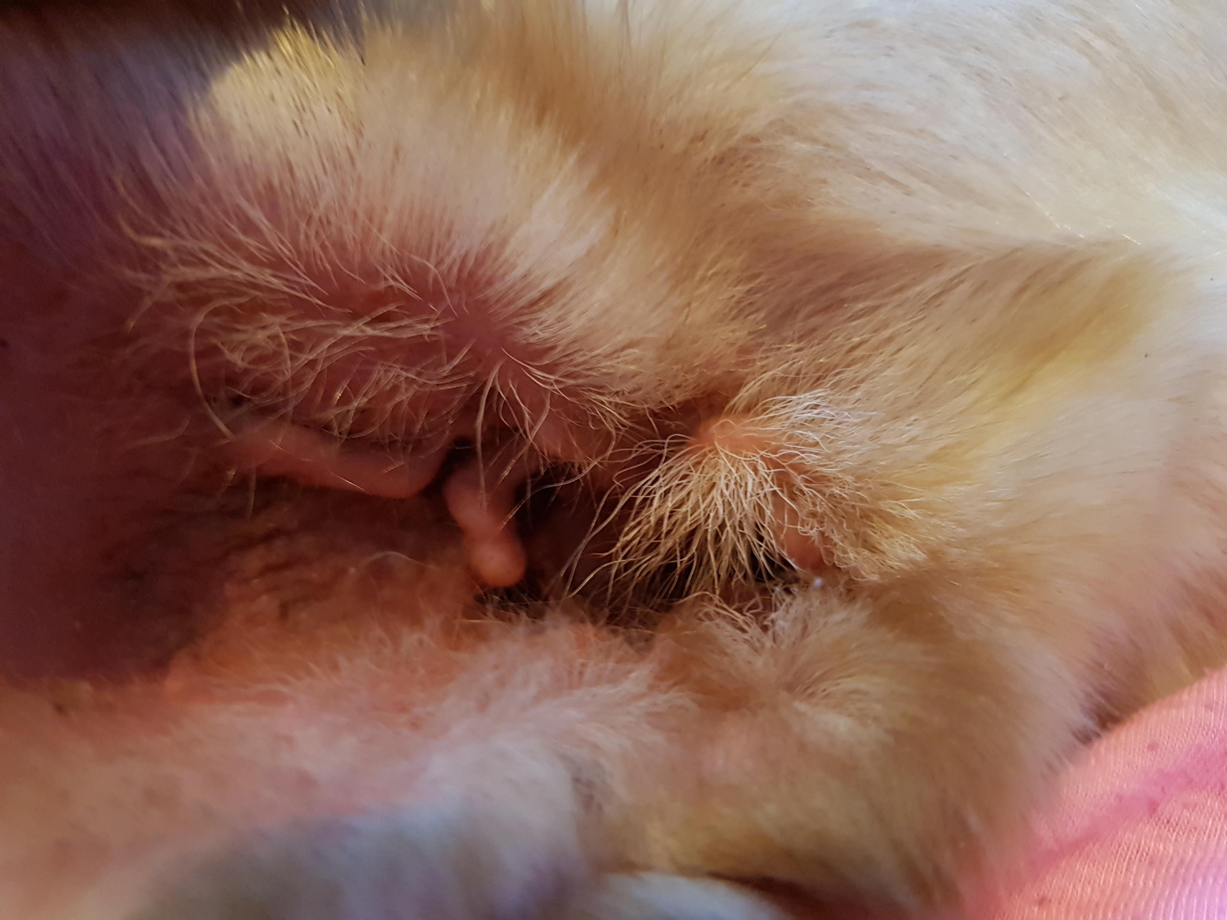 Question details sensitive content