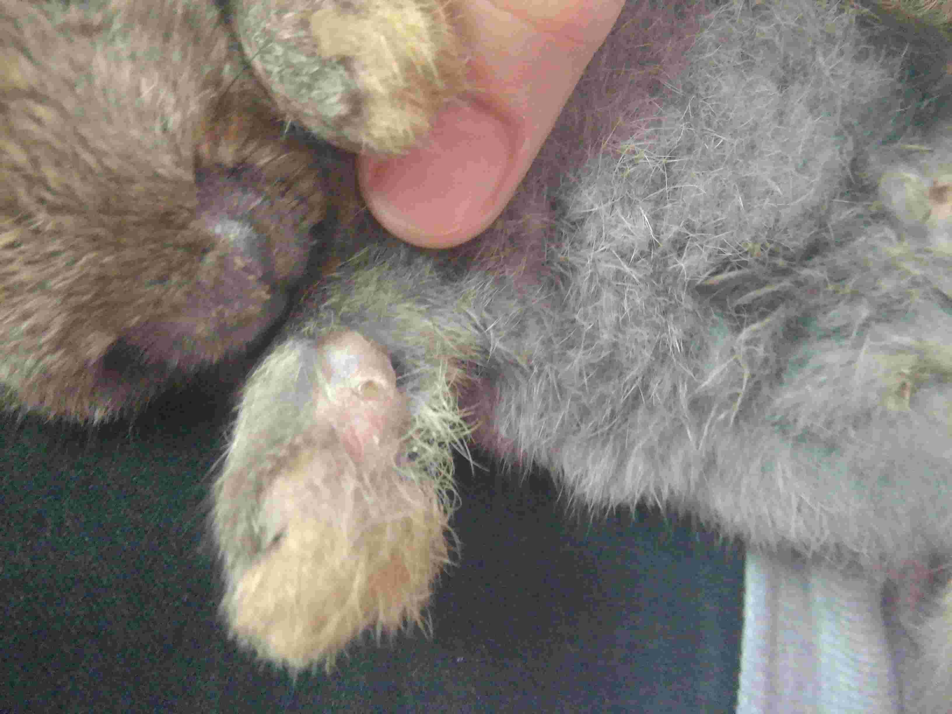 Question details sensitive content