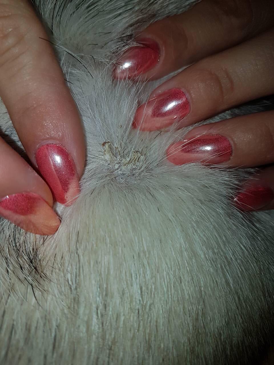 Question details sensitive content