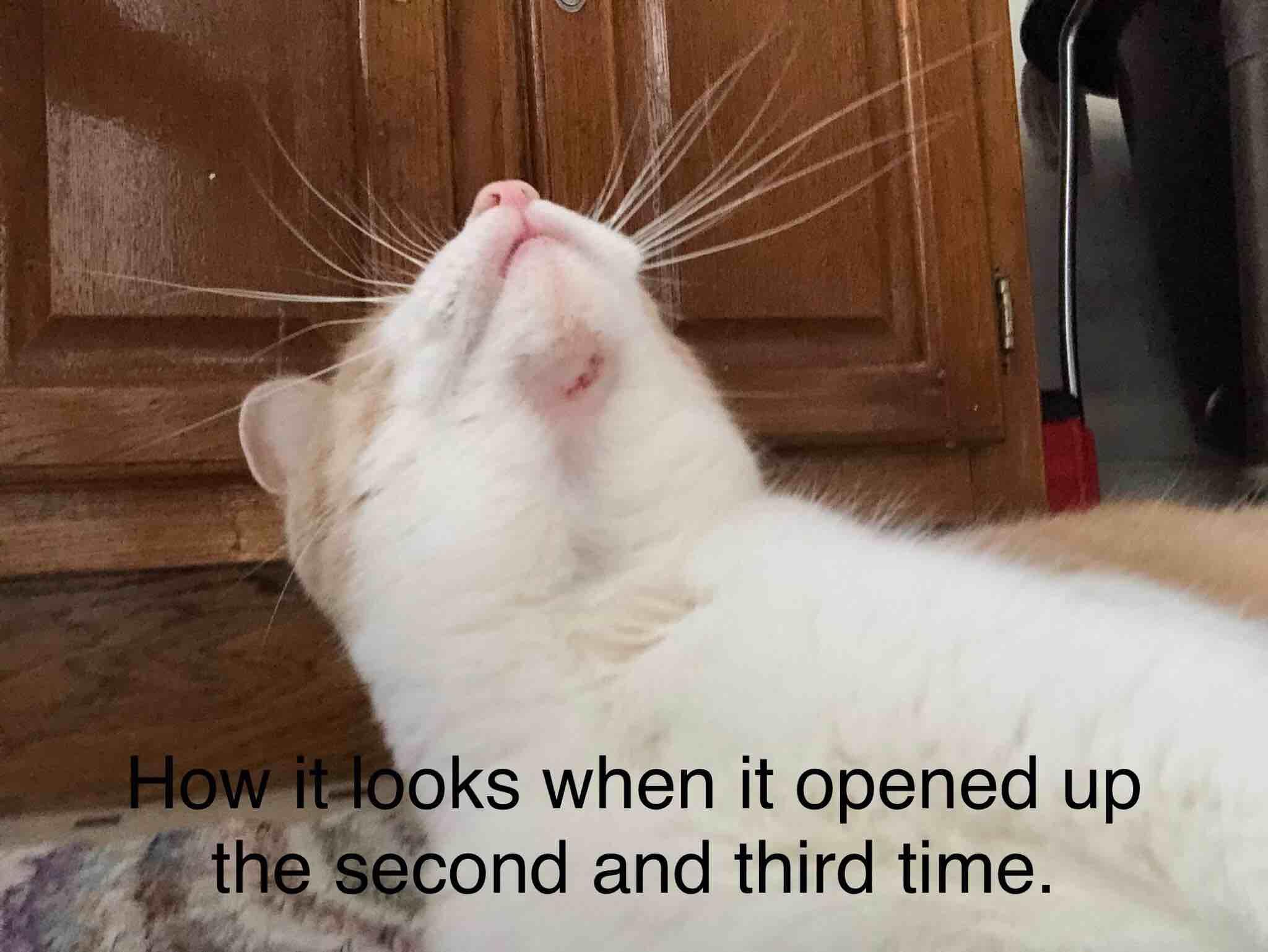 Question details sensitive content