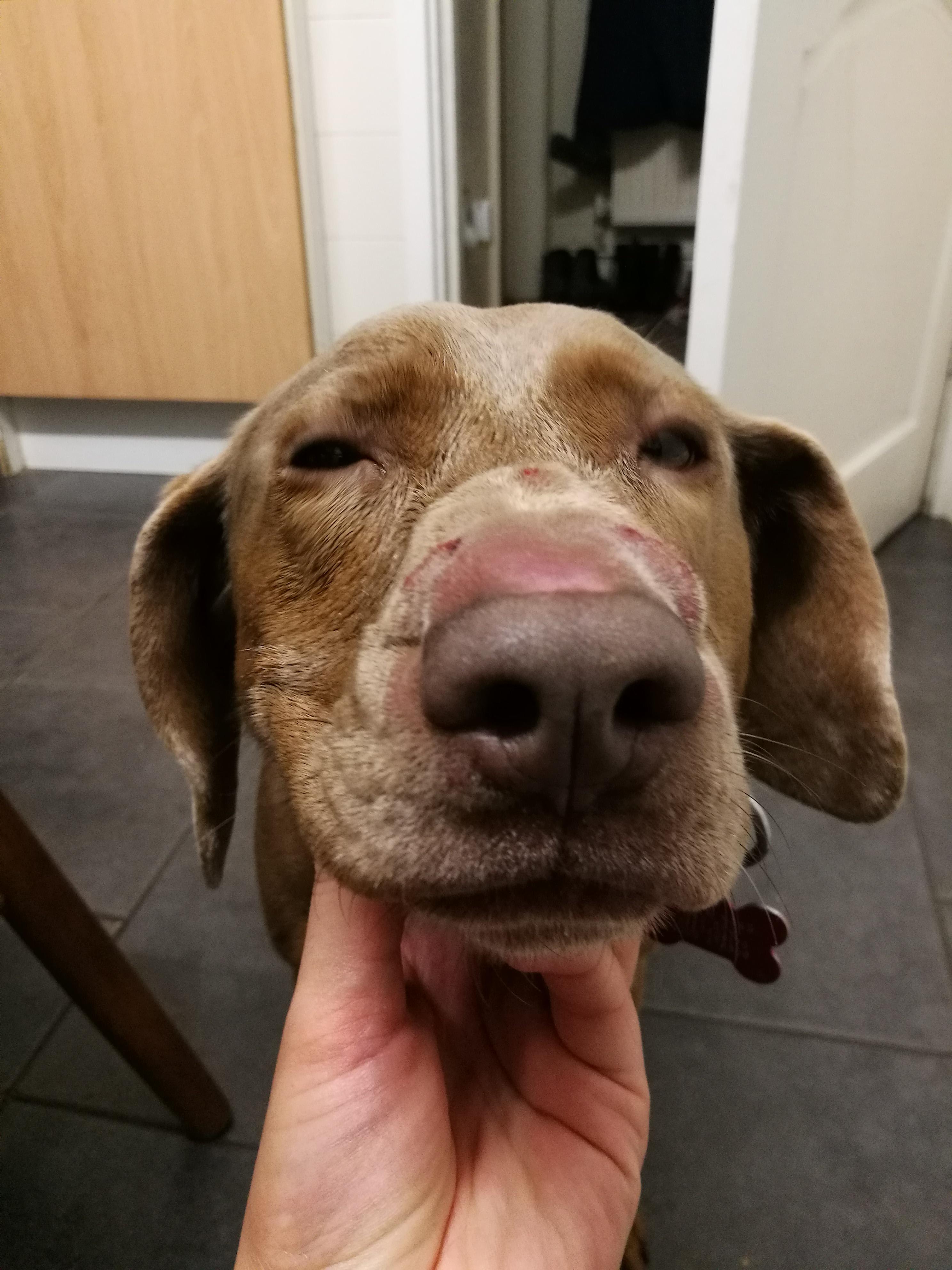 Question details sensitive content