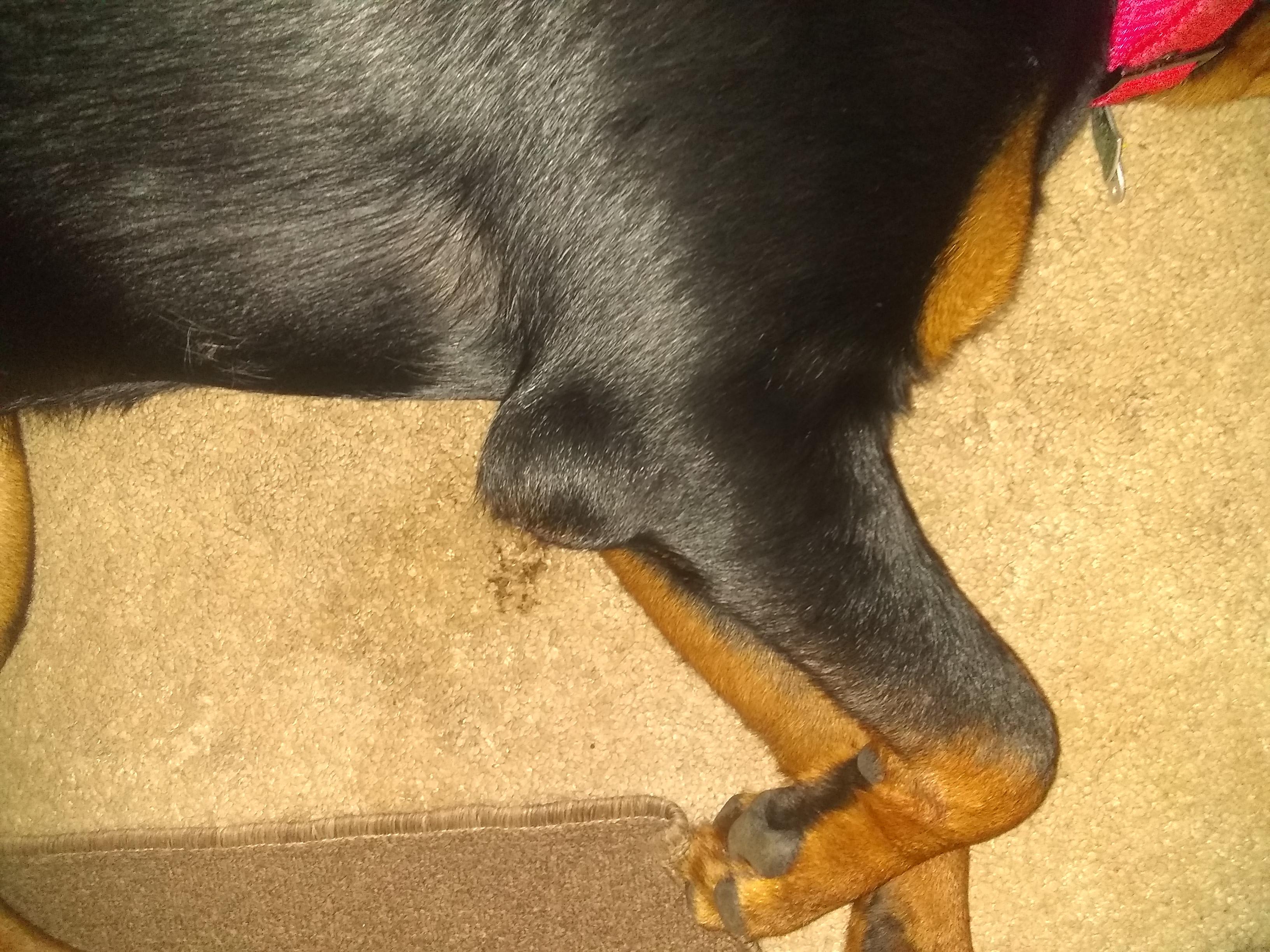 Question details sensitive content