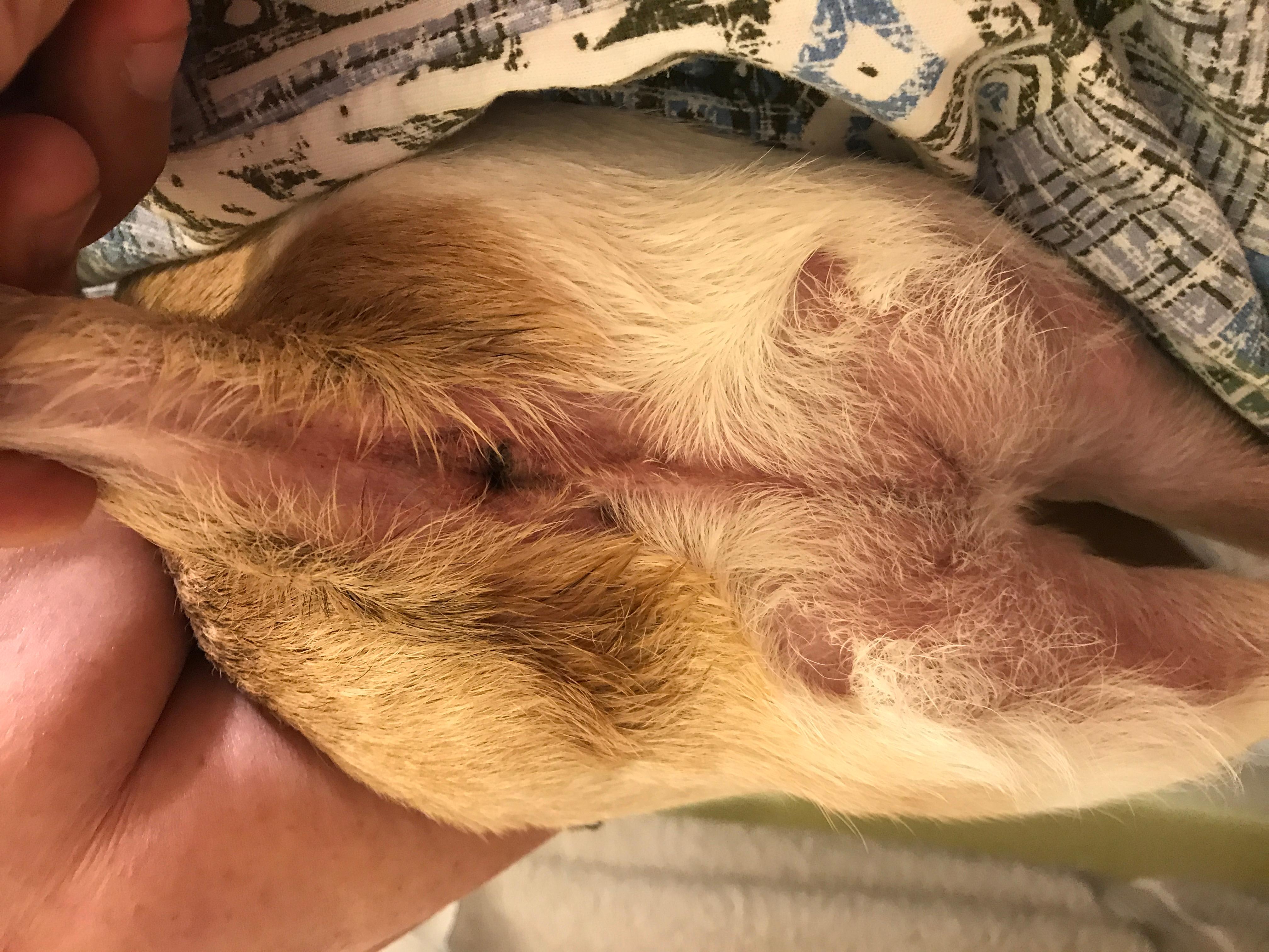 Question details sensitive content