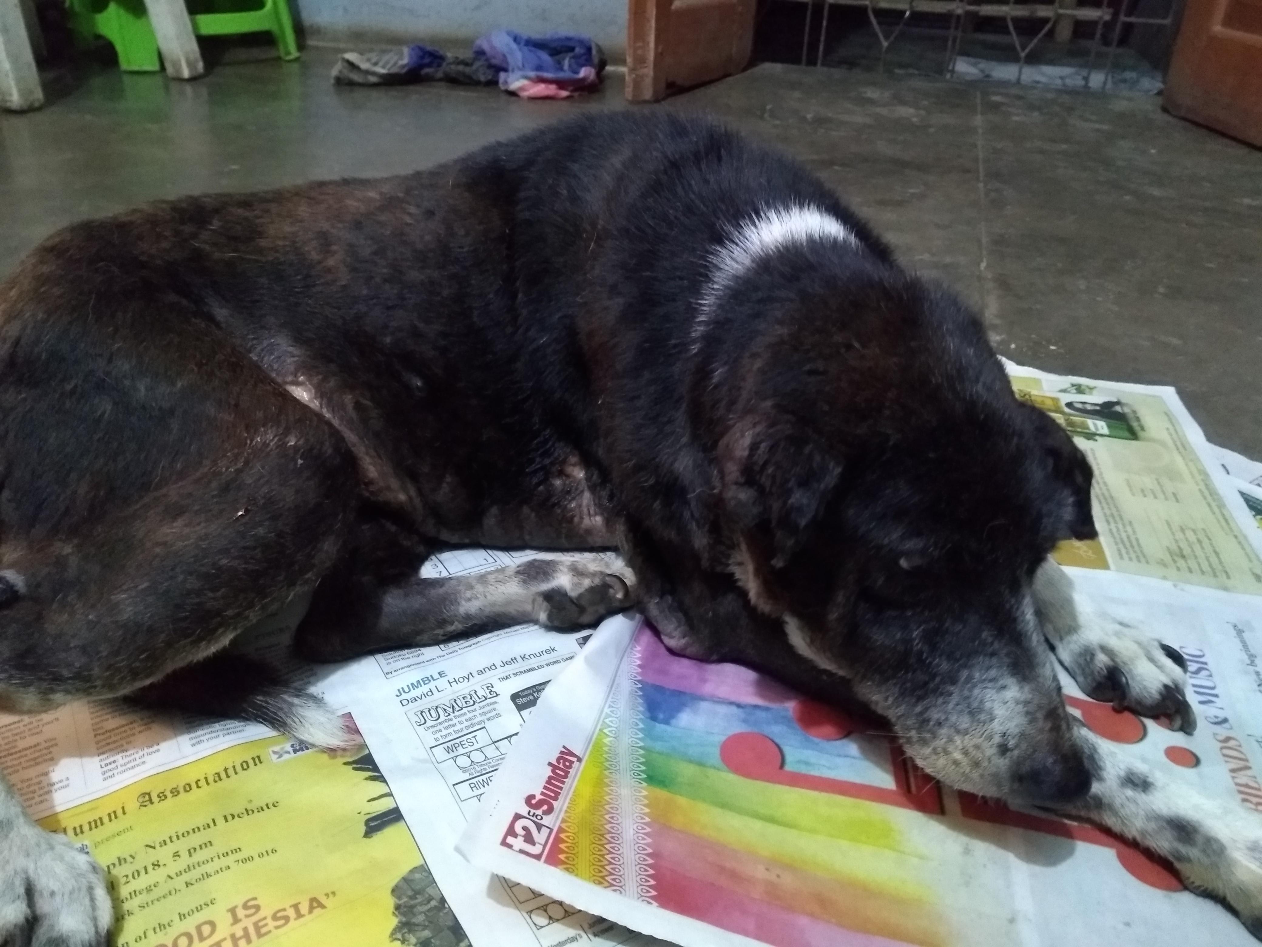 Question details sensitive content