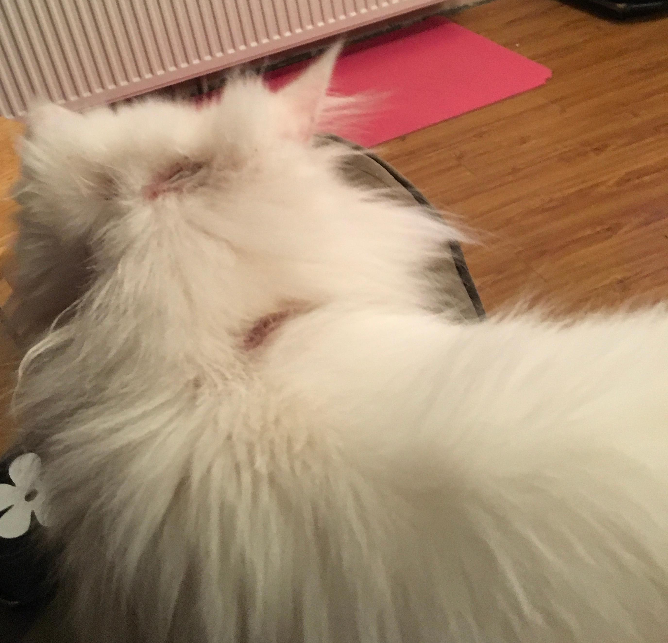 Question details sensitive content