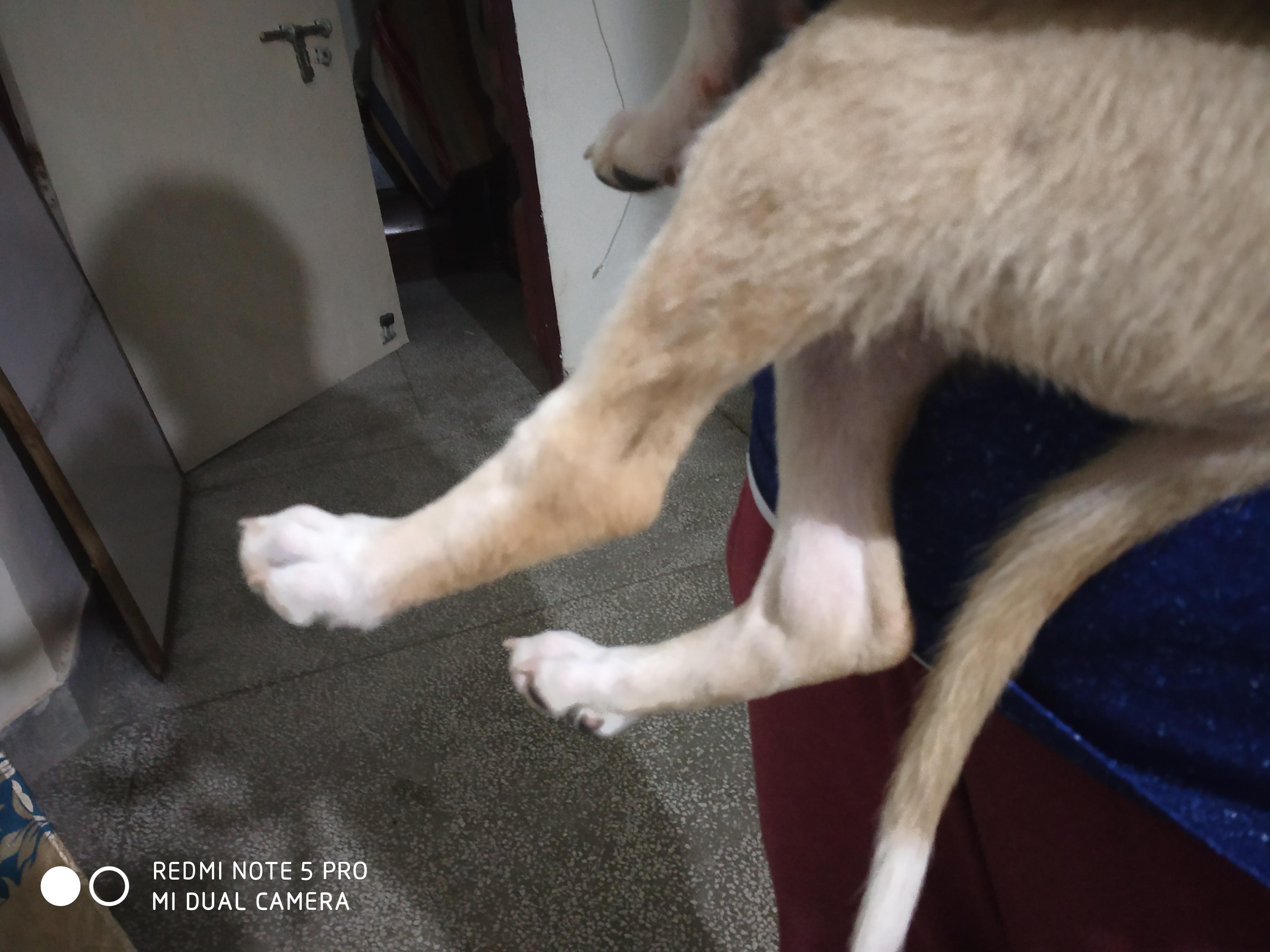 Question details sensitive content