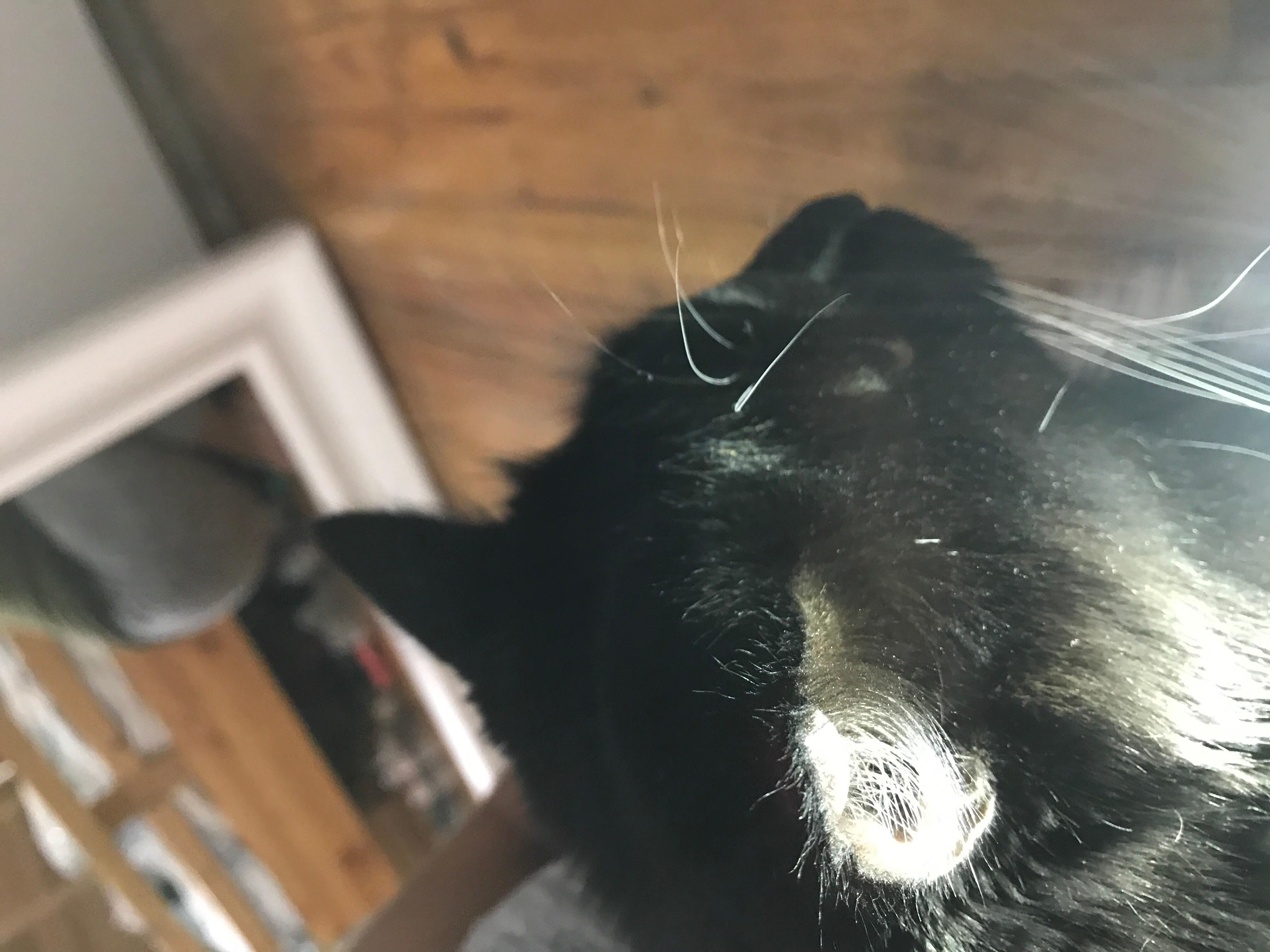 Question details sensitive content