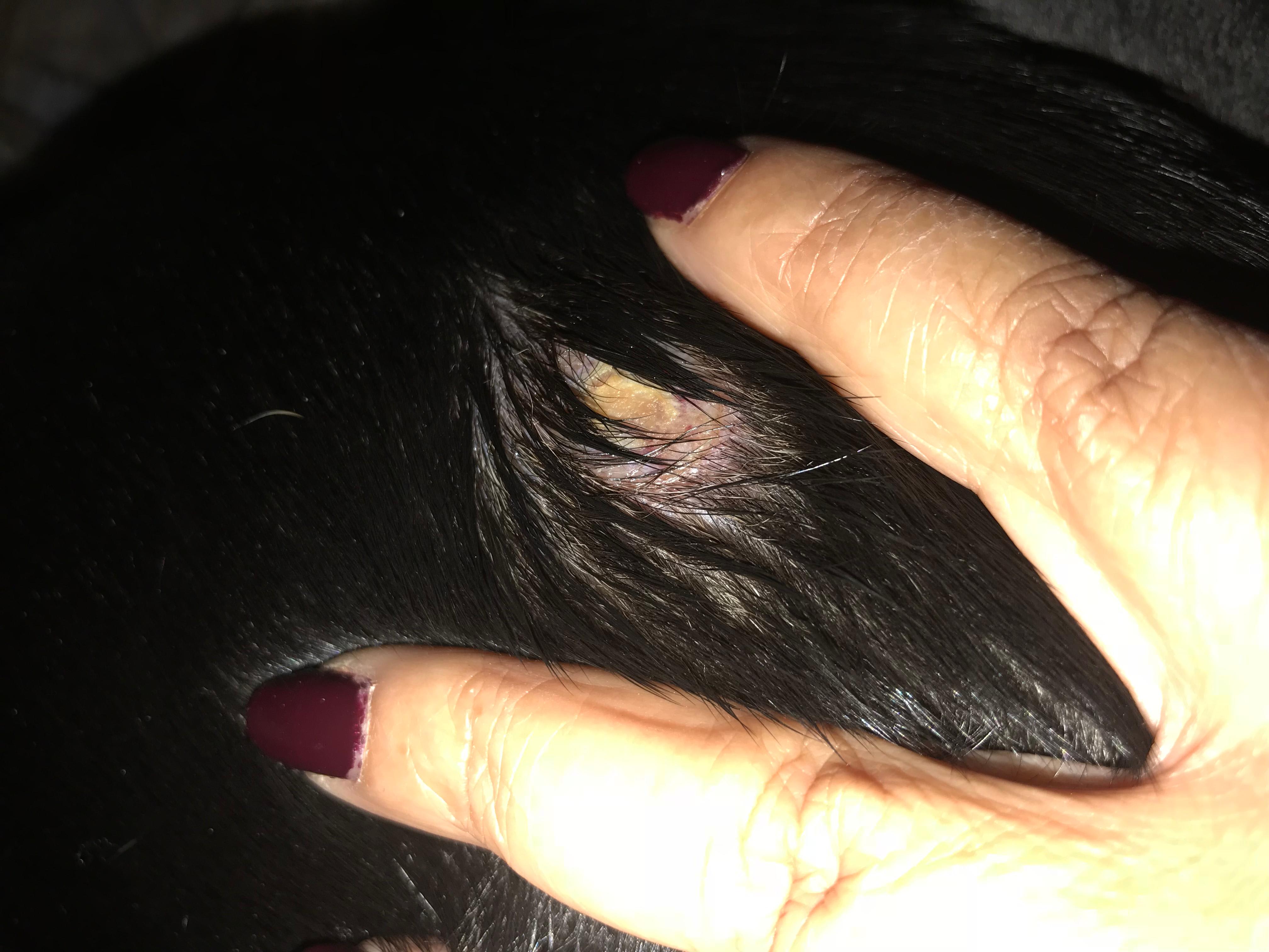 Question details sensitive content