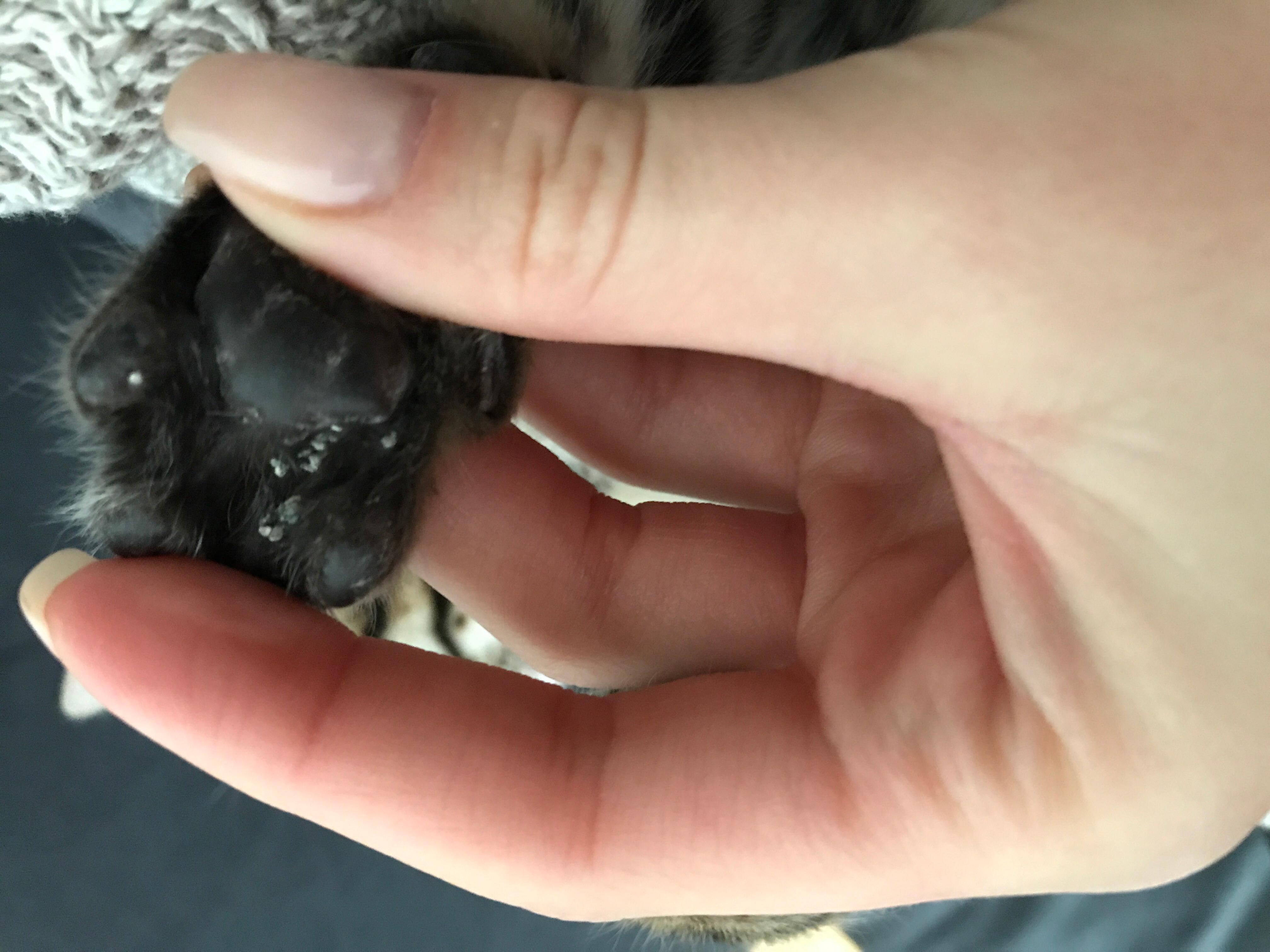 Question details sensitive content